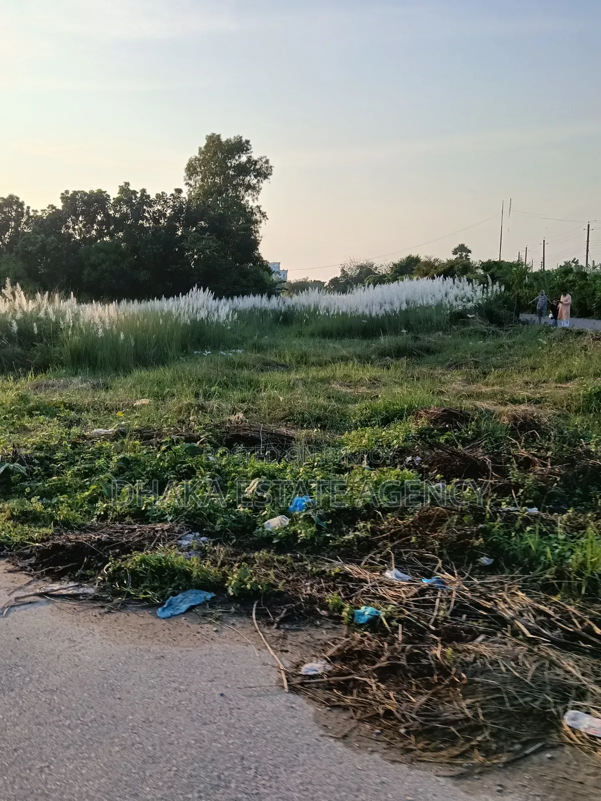 Sector 17A, South Face 3 Katha Plot Sale in Uttara