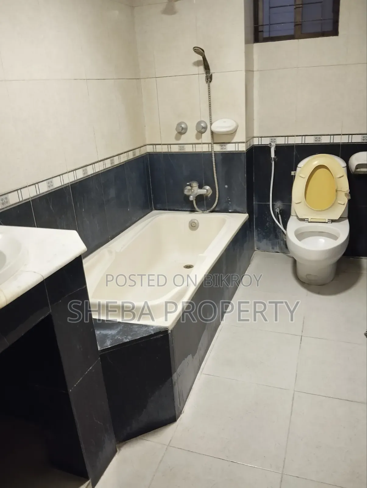 Furnished 3 Bedroom Apartment in Gulshan for rent in Gulshan