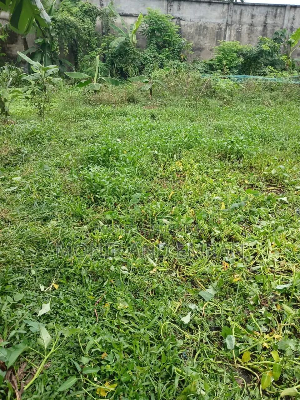 Land Sale Notice in Savar