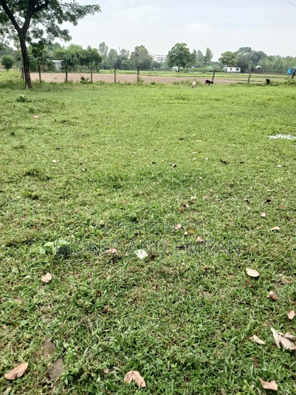 Land Sale Notice in Savar