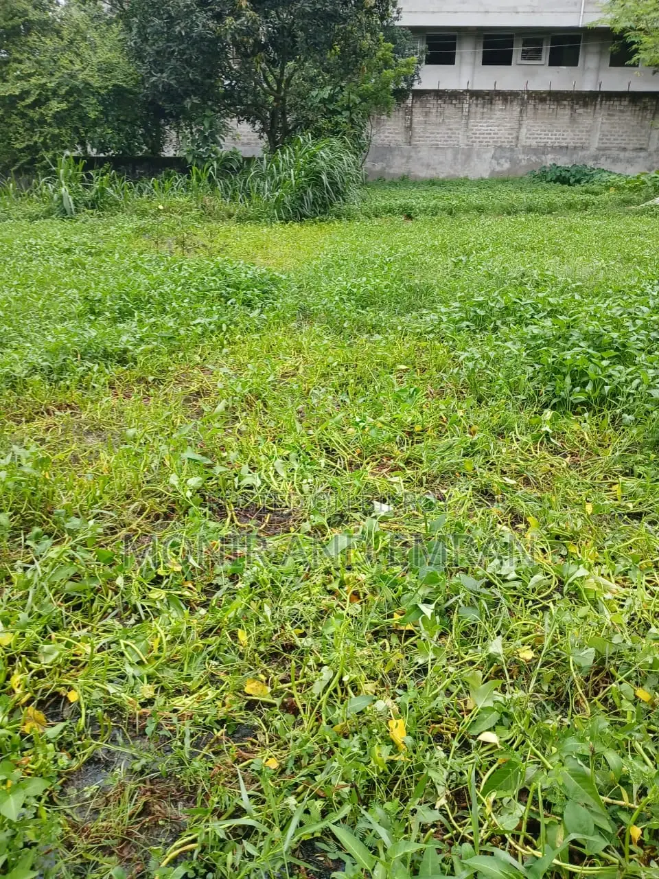 Land Sale Notice in Savar