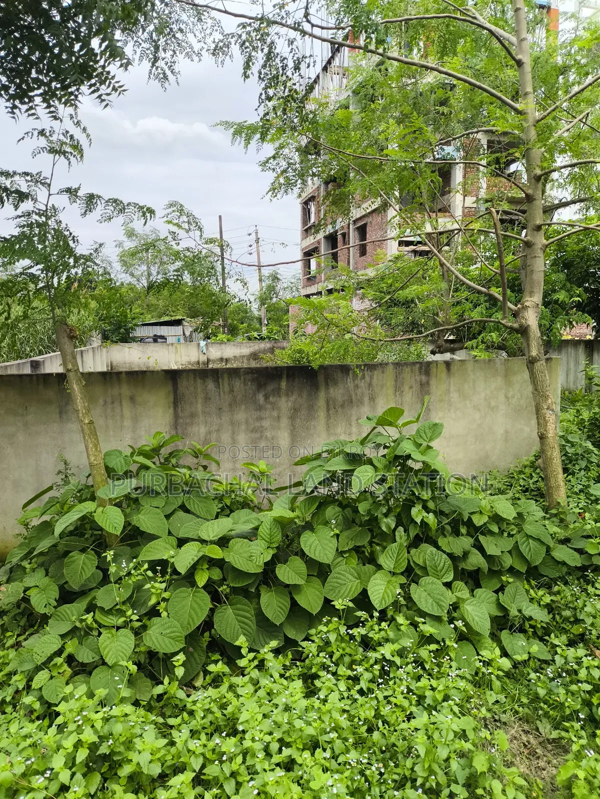 Purbachal, Near 300 Fit Road 3 Katha Plot Sale in Sector: 13. in Purbachal