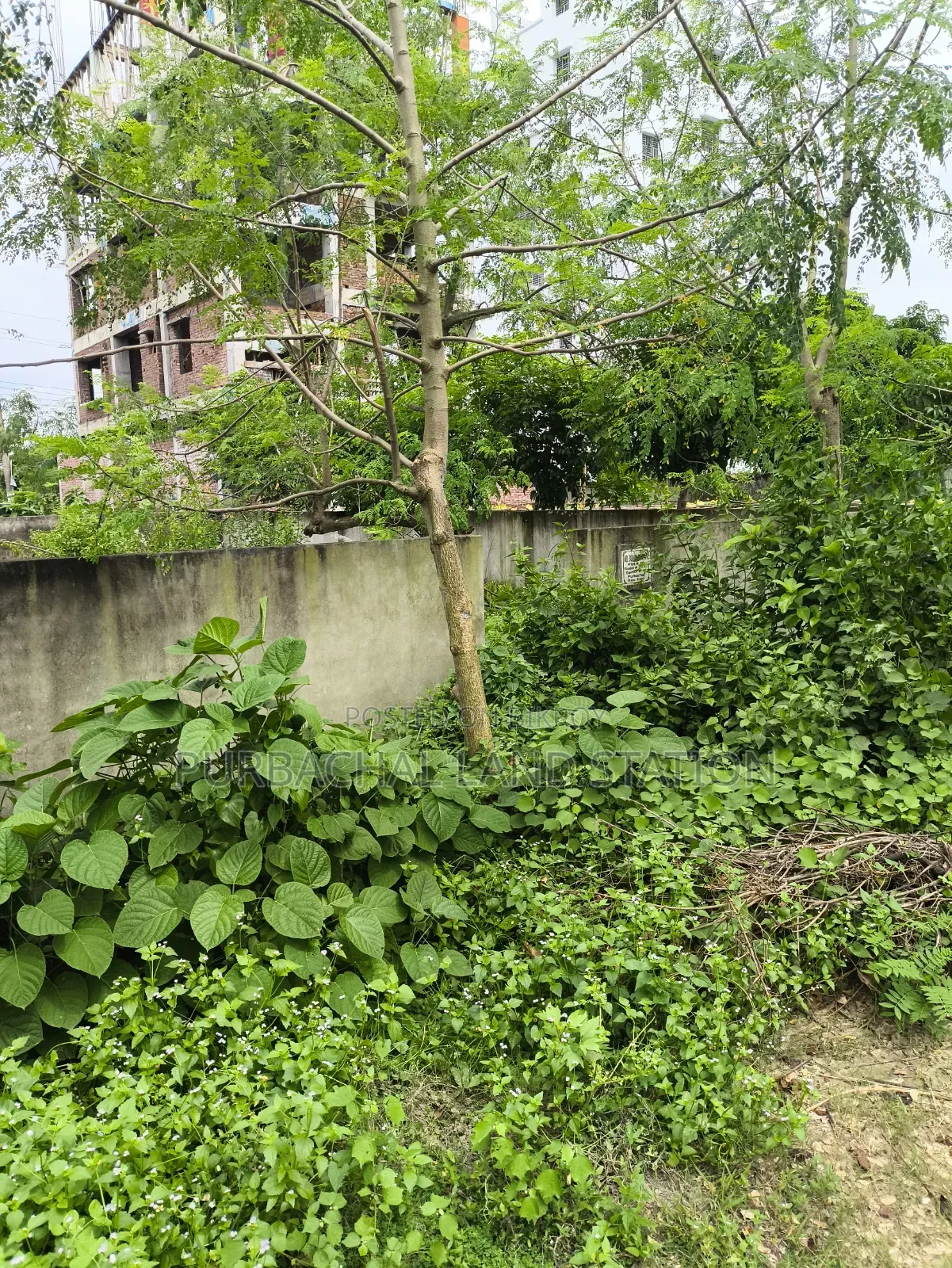 Purbachal, Near 300 Fit Road 3 Katha Plot Sale in Sector: 13. in Purbachal