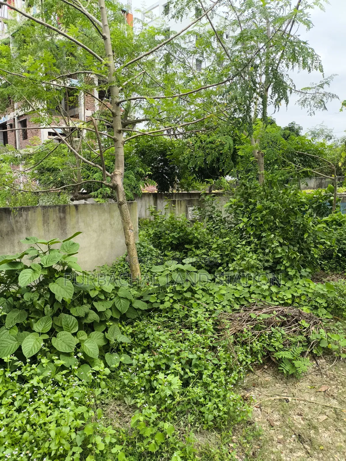Purbachal, Near 300 Fit Road 3 Katha Plot Sale in Sector: 13. in Purbachal