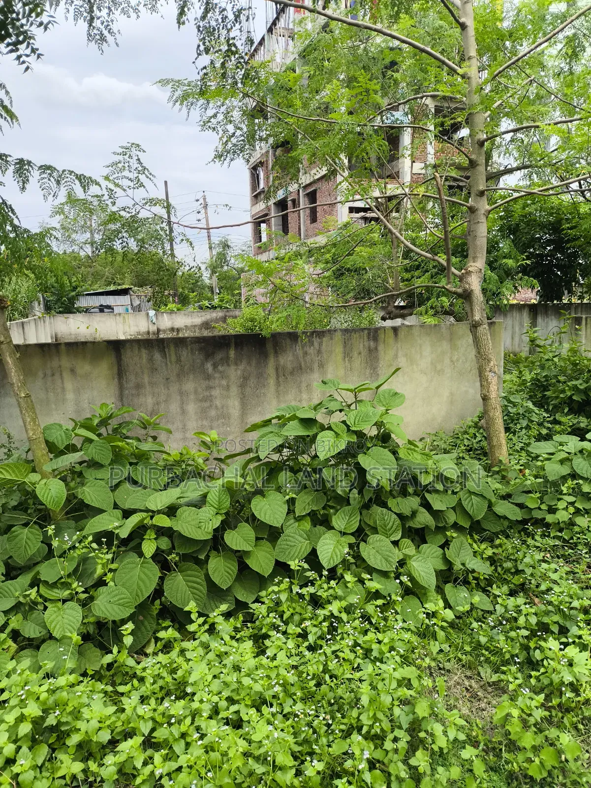 Purbachal, Near 300 Fit Road 3 Katha Plot Sale in Sector: 13. in Purbachal