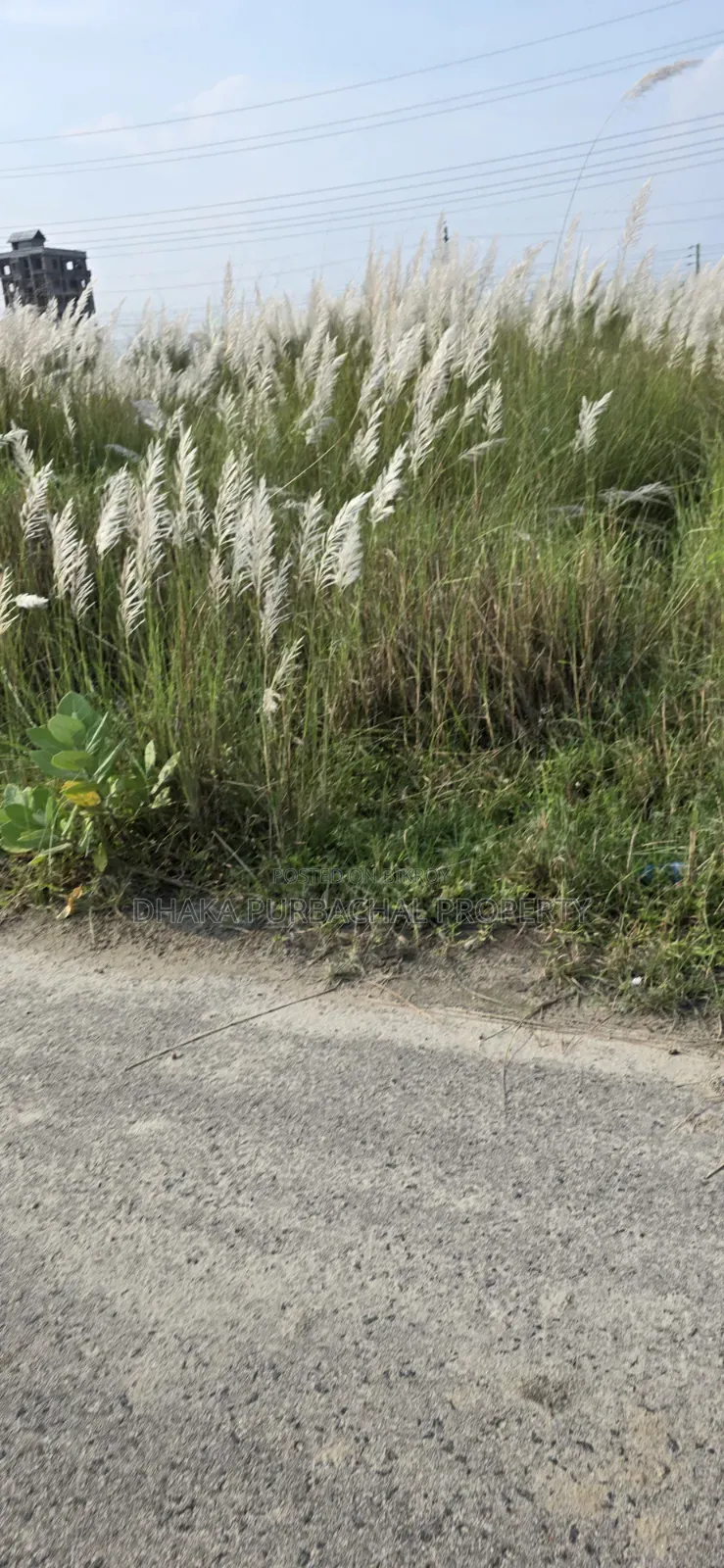 Sector 13 Business Category 3 Katha Allotted Plot Sell in Purbachal