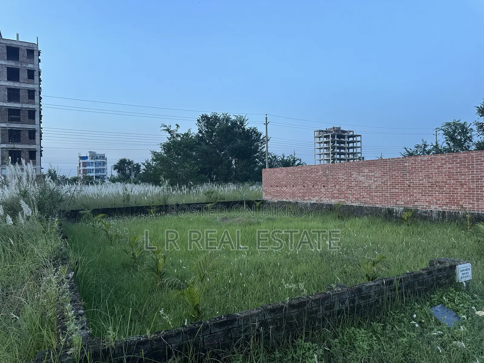 Block-P, 3 Katha, North-Face, Bashundhara R/A in Basundhara