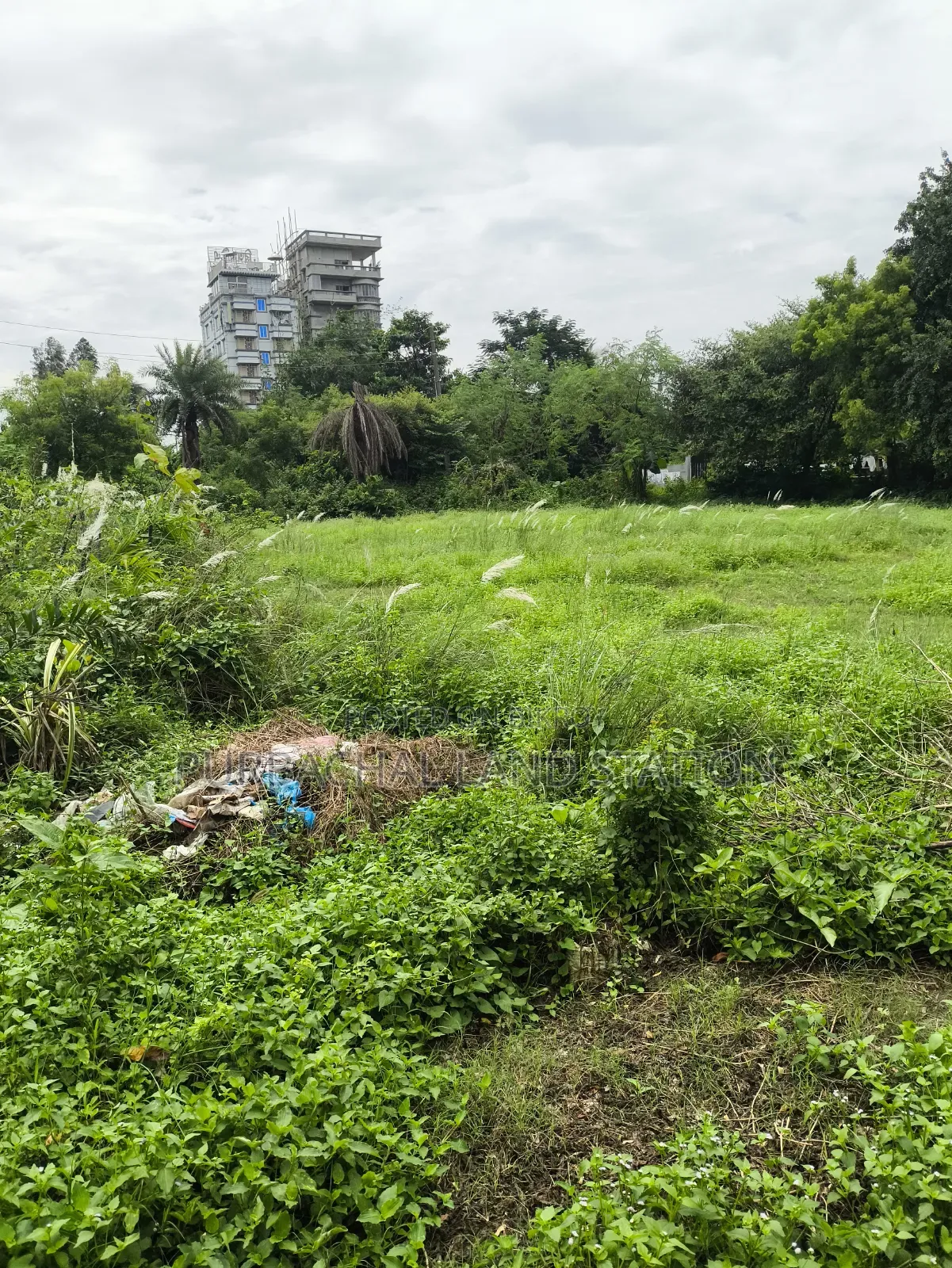 Sector: 28, Corner 3 Katha Plot Urgent Sale in Purbachal in Purbachal
