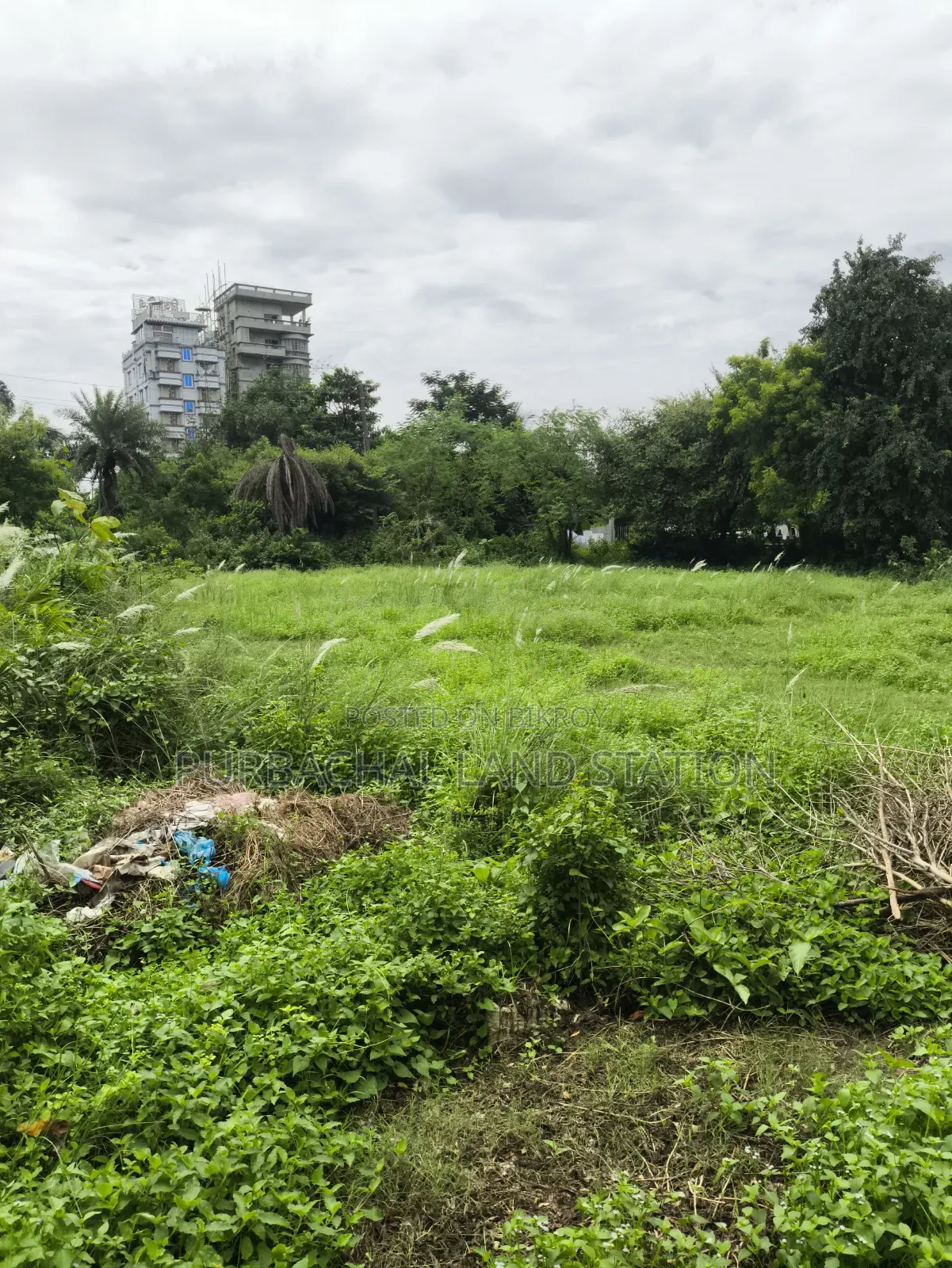 Sector: 28, Corner 3 Katha Plot Urgent Sale in Purbachal in Purbachal