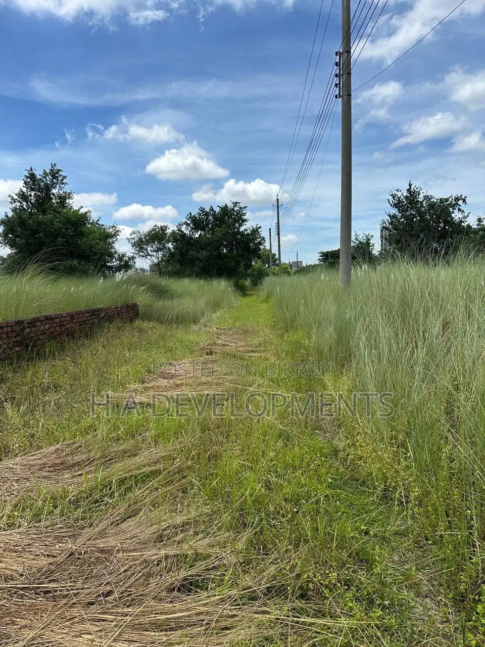 3 Katha North-Facing Ready Plot for Sale – Bashundhara Block P in Basundhara