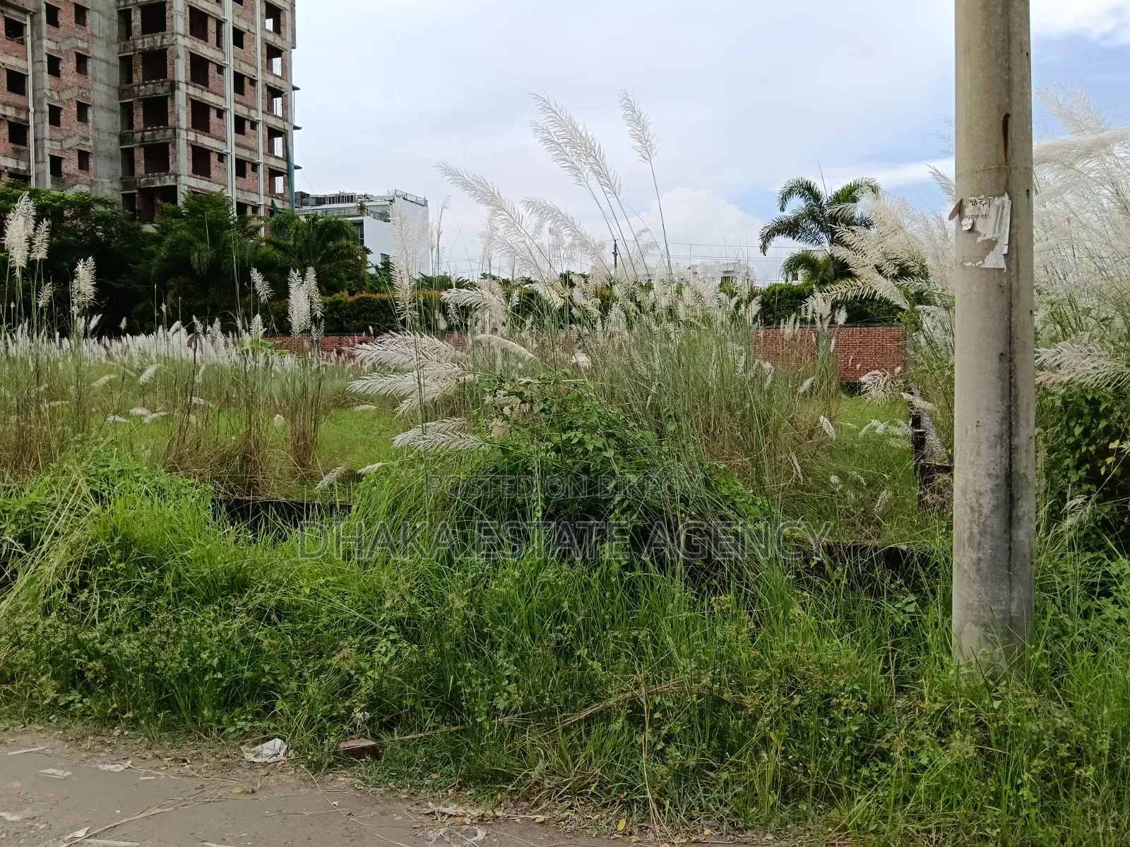Block-M, South-Facing, 4 Katha, Plot for Sale in Basundhara