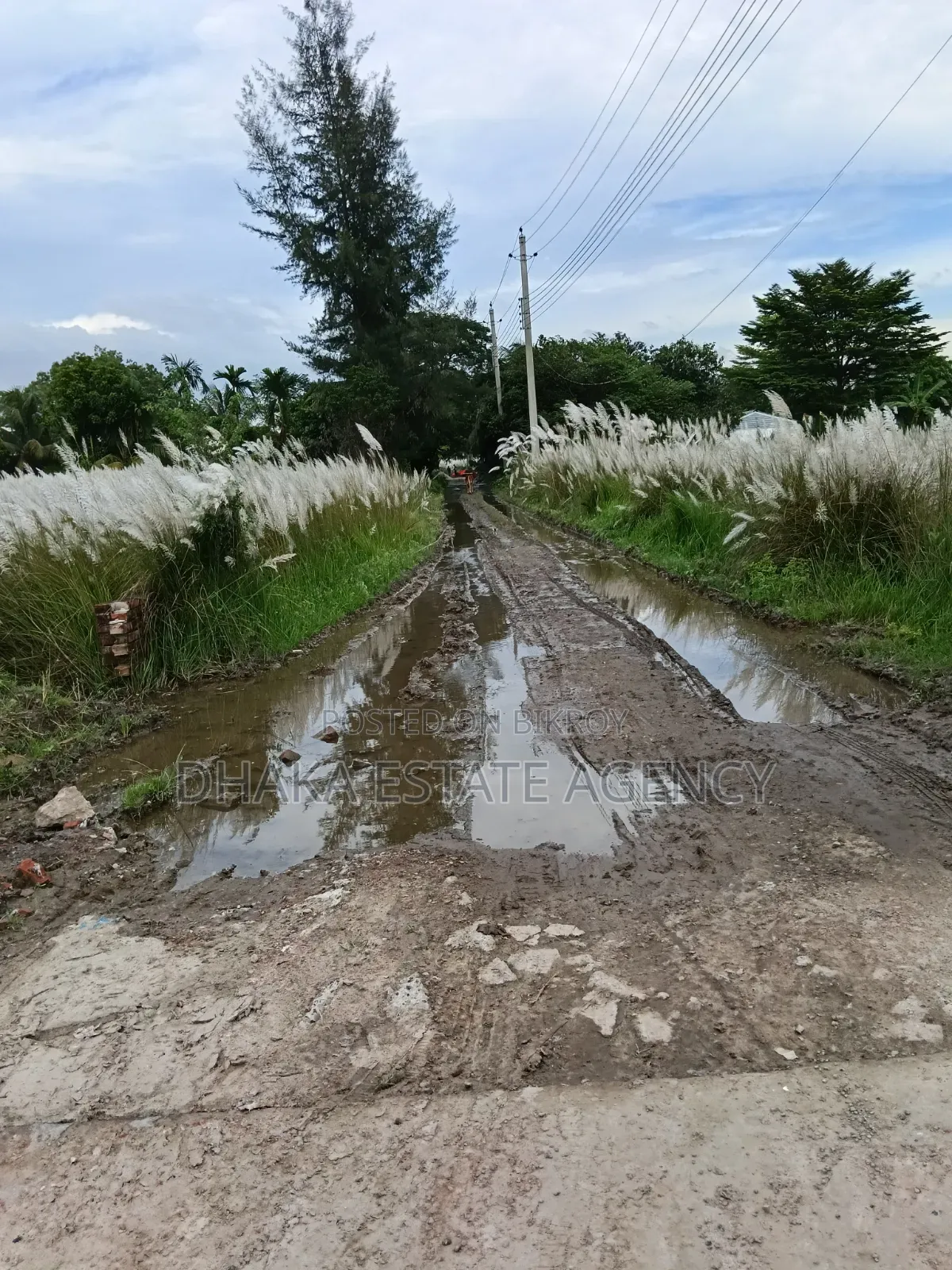 Block-N, South-Facing 3+3=6 Katha Plot for Sale in Basundhara