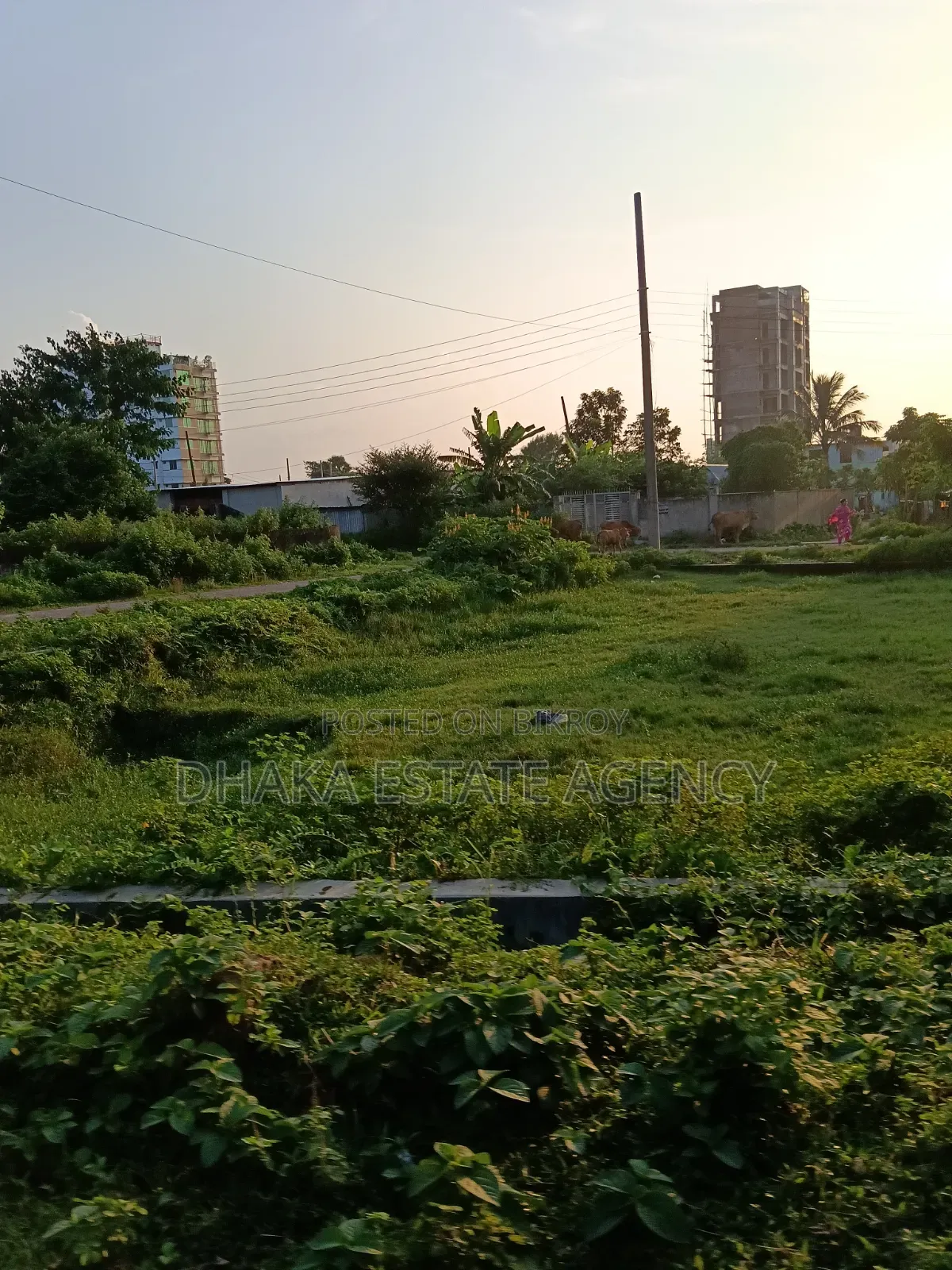 Sector-11, South Facing 5 Katha Plot Sale in Purbachal