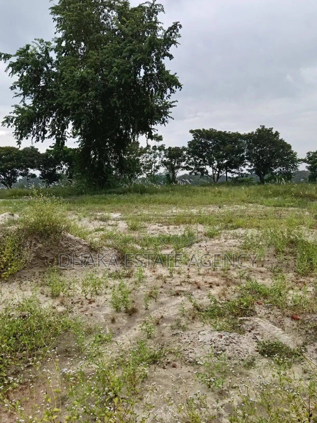 Block-P-Ext, Urgent 5 Katha South Facing Plot for Sale in Basundhara