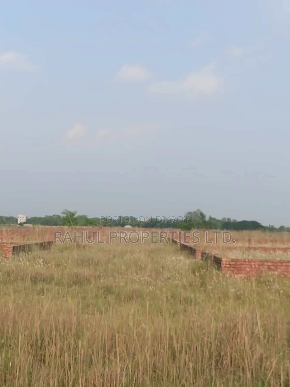 Land for Sale - Bashundhara P Extension in Basundhara
