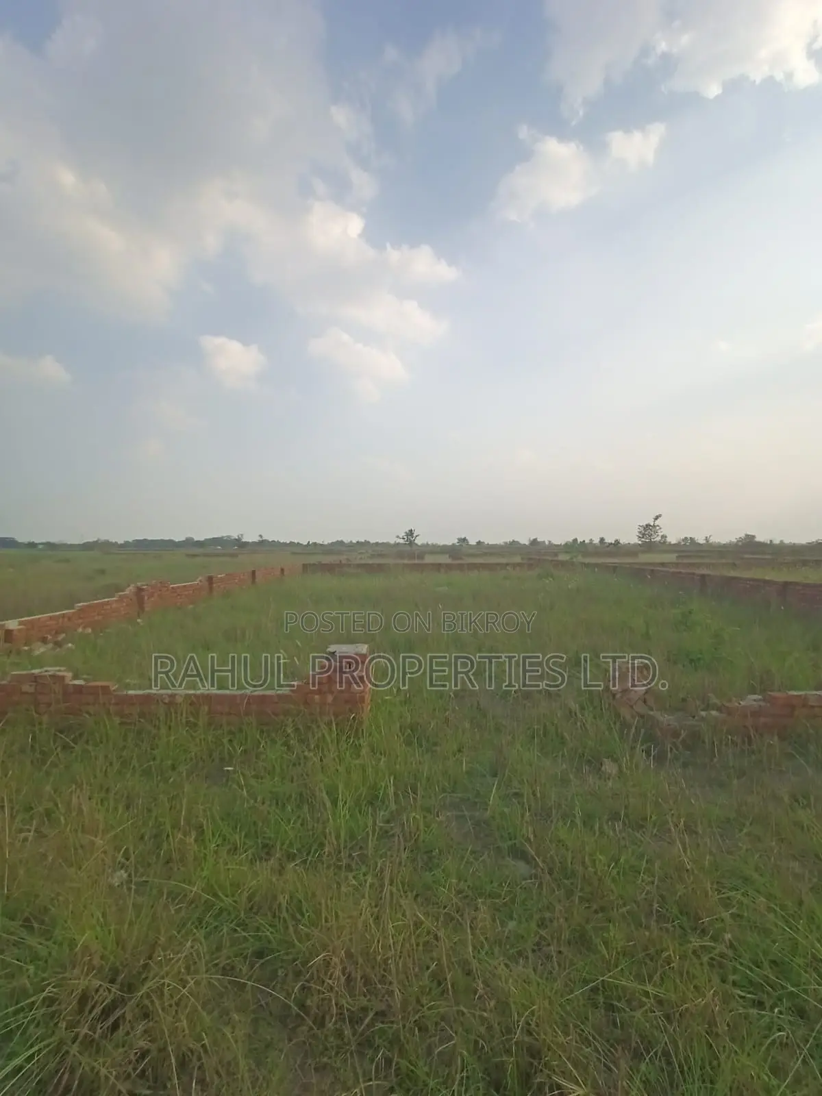 Land for Sale - Bashundhara P Extension in Basundhara
