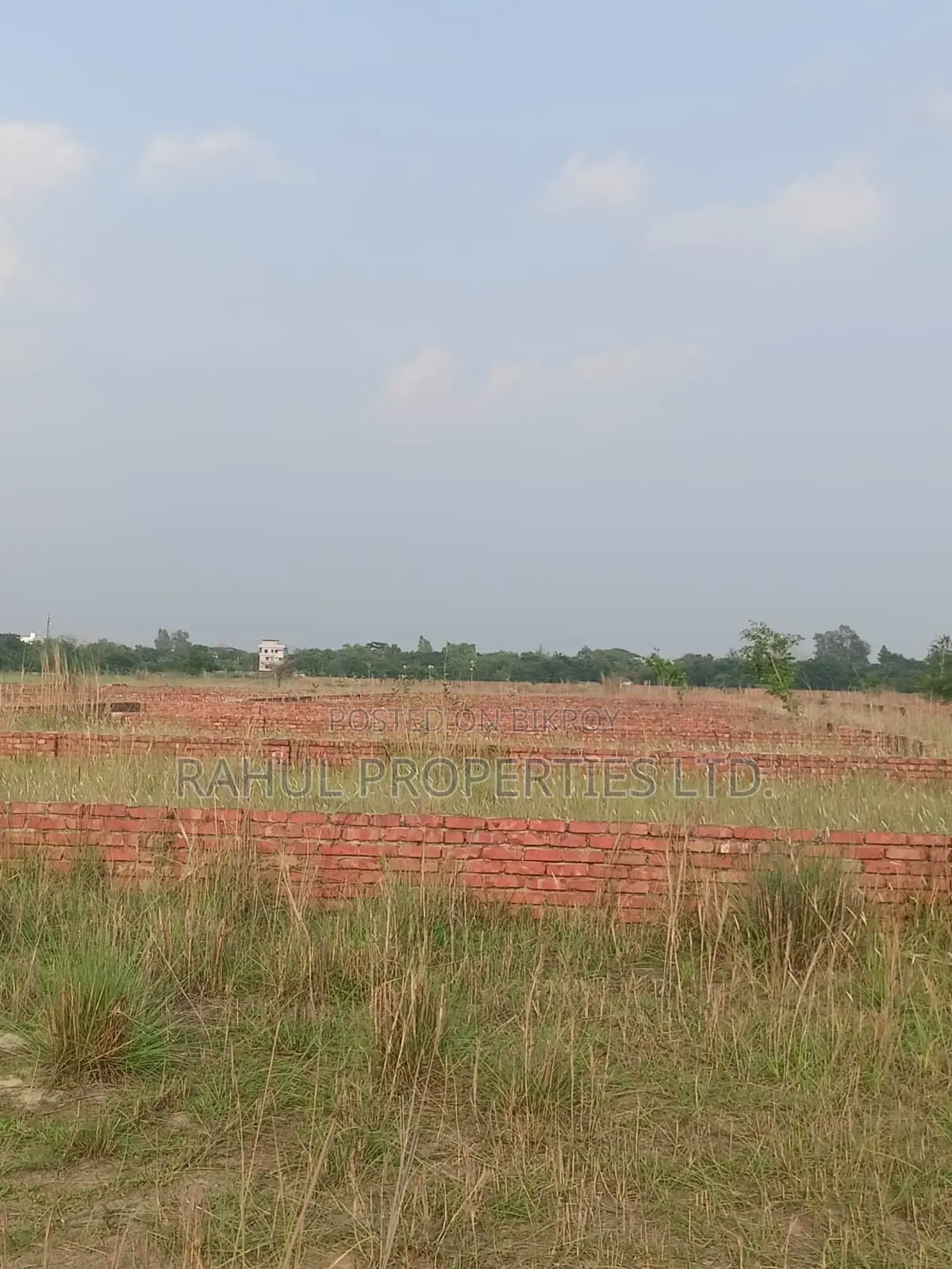 Land for Sale - Bashundhara P Extension in Basundhara