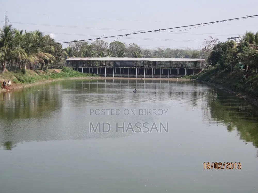 10.46 Acre Ready Poultry Hatchery and Fish Farm Sell in Rajbari Sadar