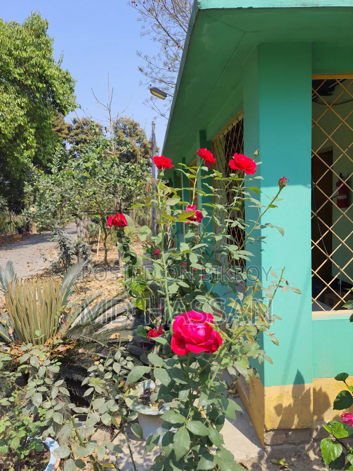 10.46 Acre Ready Poultry Hatchery and Fish Farm Sell in Rajbari Sadar