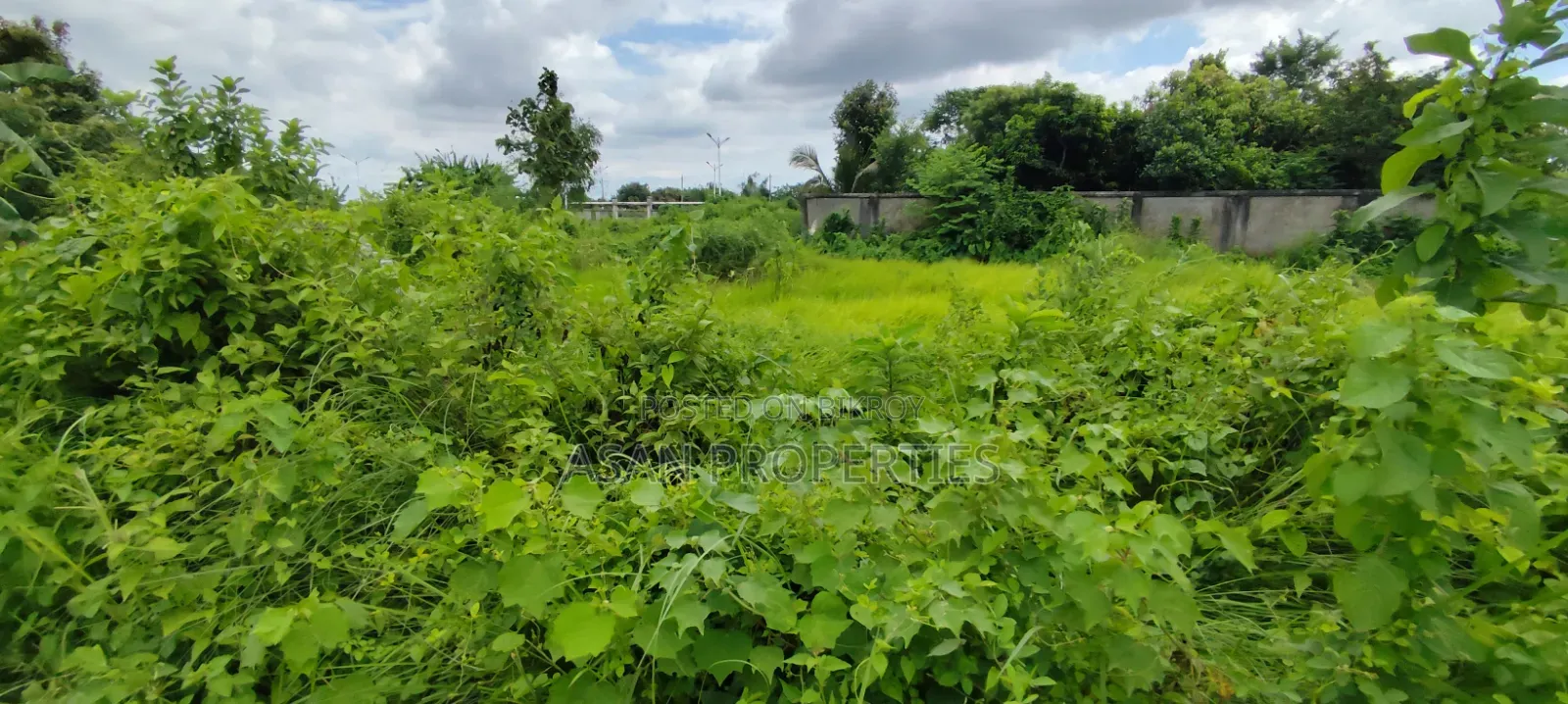 Basundhara P Extension 3 Katha South Plot for Sale in Basundhara