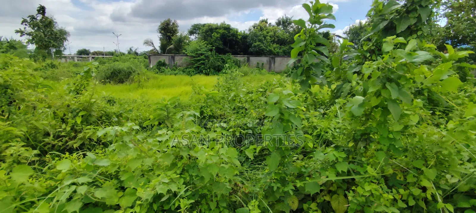 Basundhara P Extension 3 Katha South Plot for Sale in Basundhara