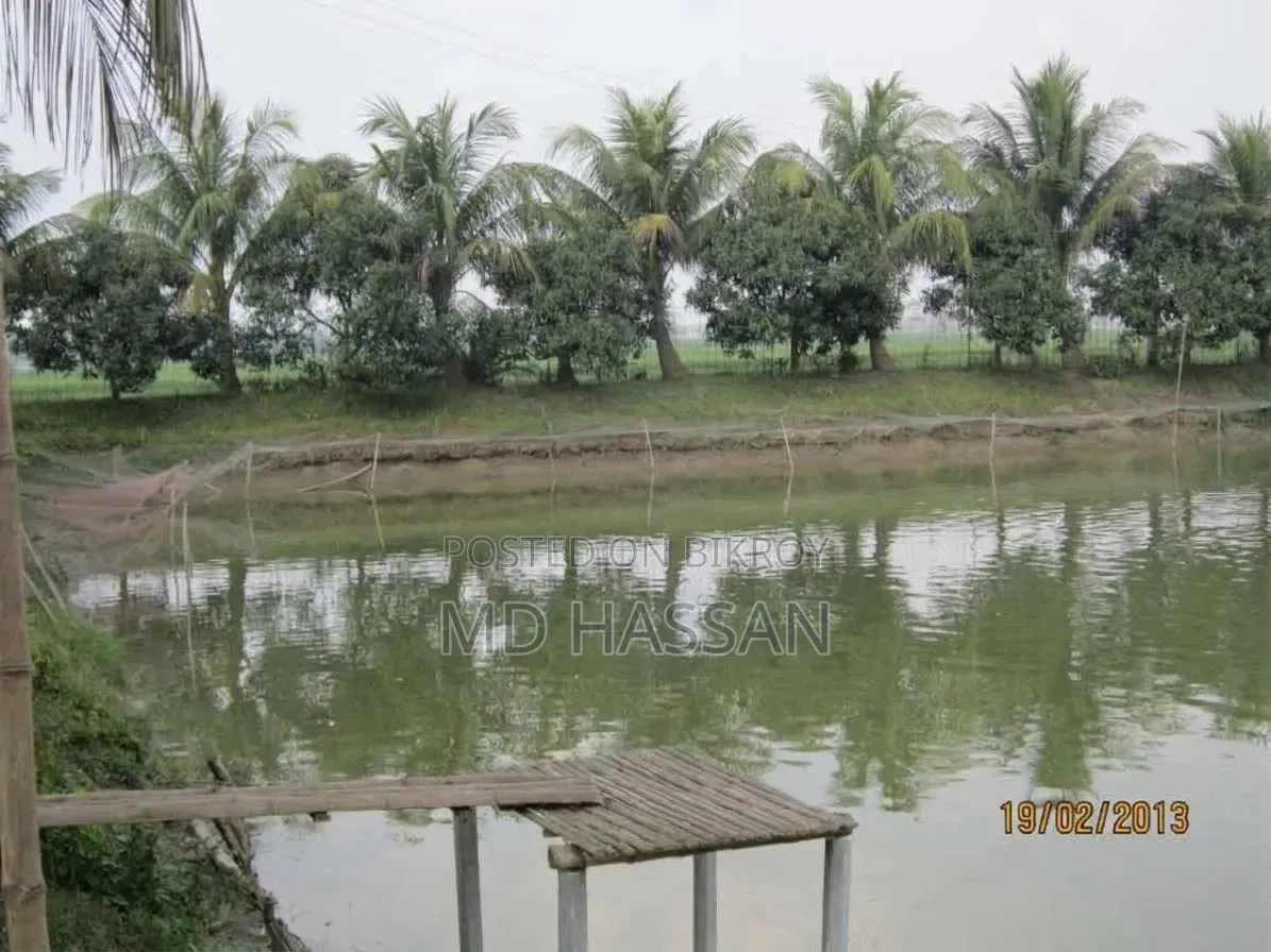 10.46 Acre Ready Poultry Hatchery and Fish Farm Sell in Rajbari Sadar