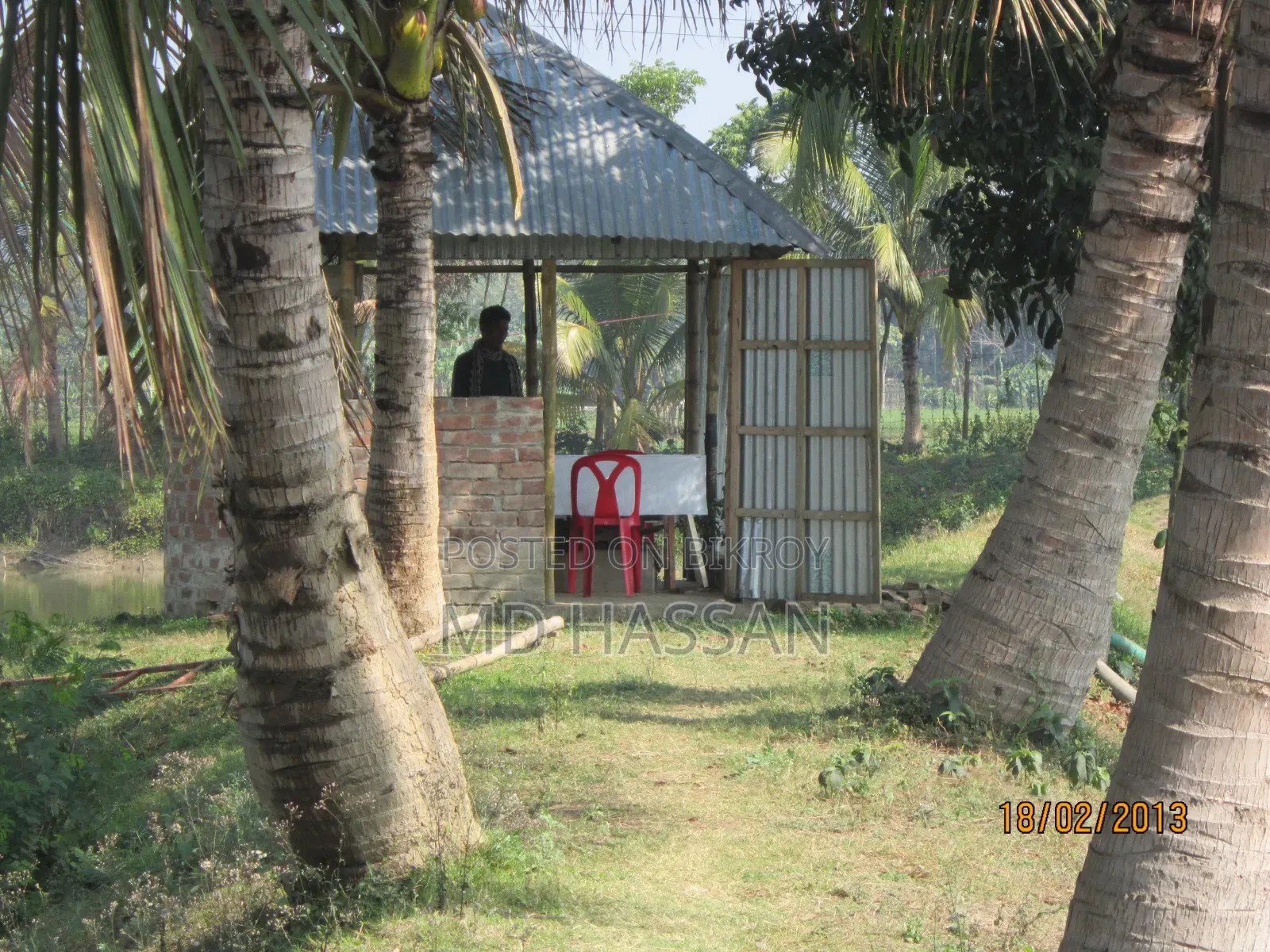 10.46 Acre Ready Poultry Hatchery and Fish Farm Sell in Rajbari Sadar