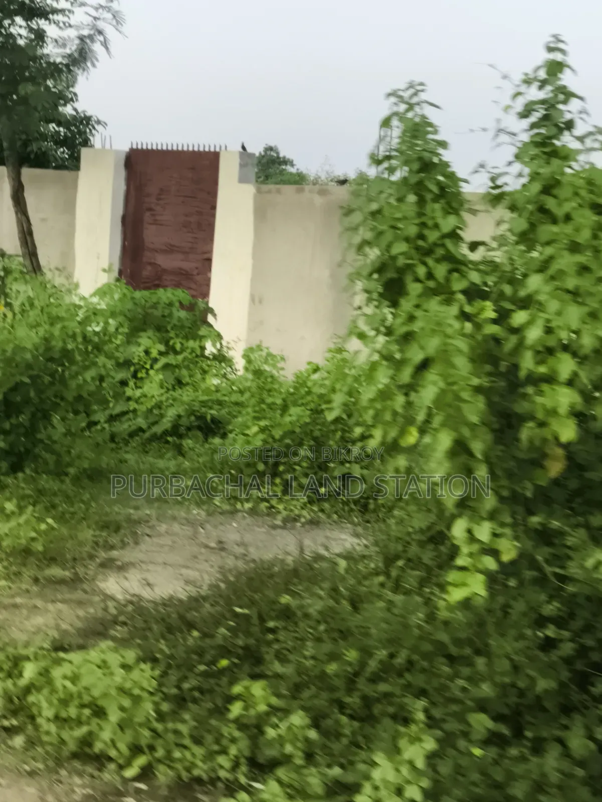 Sector: 24, South-East Corner Prime Location 3 Katha Plot Sale in Purbachal in Purbachal