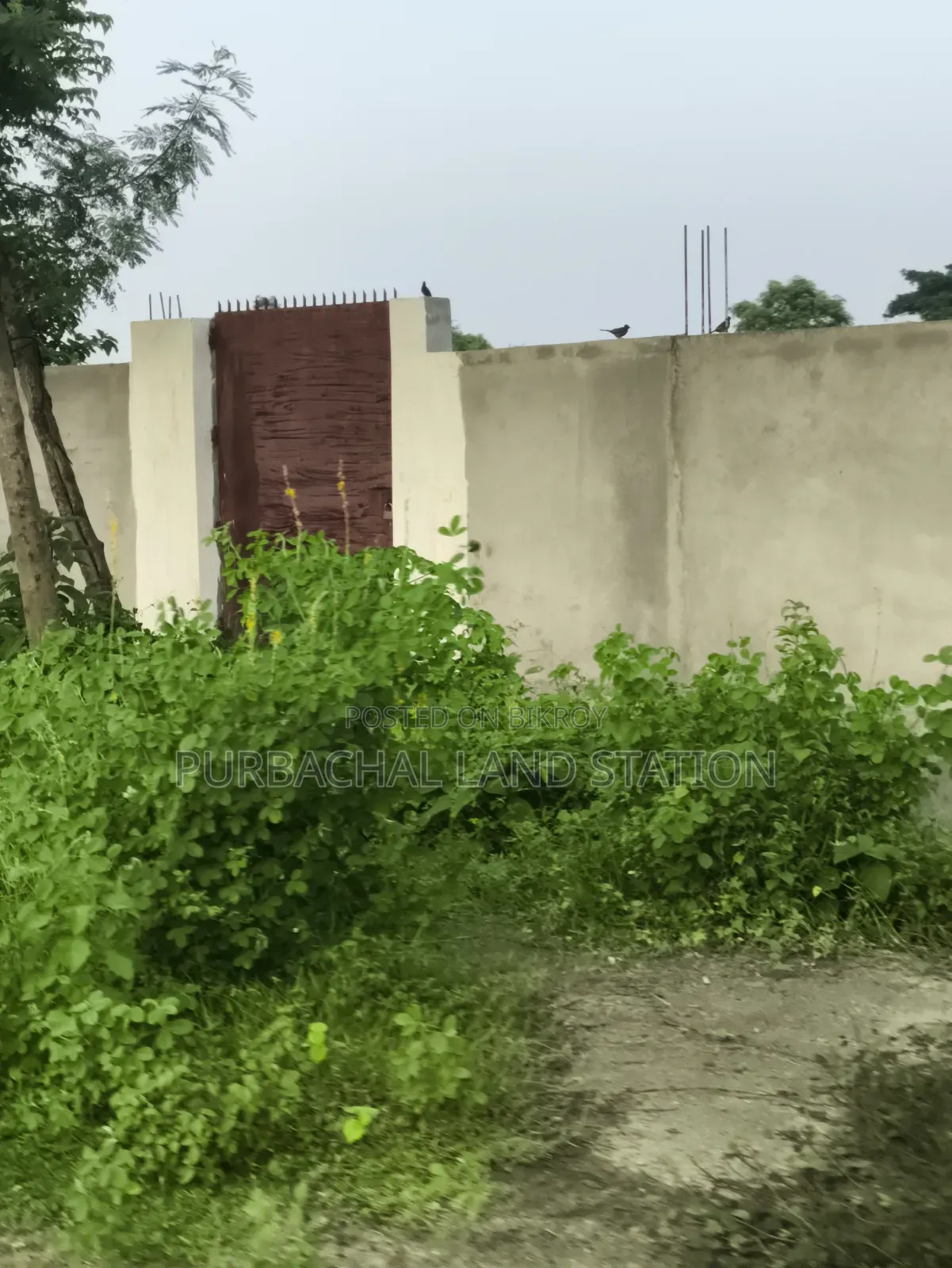 Sector: 24, South-East Corner Prime Location 3 Katha Plot Sale in Purbachal in Purbachal