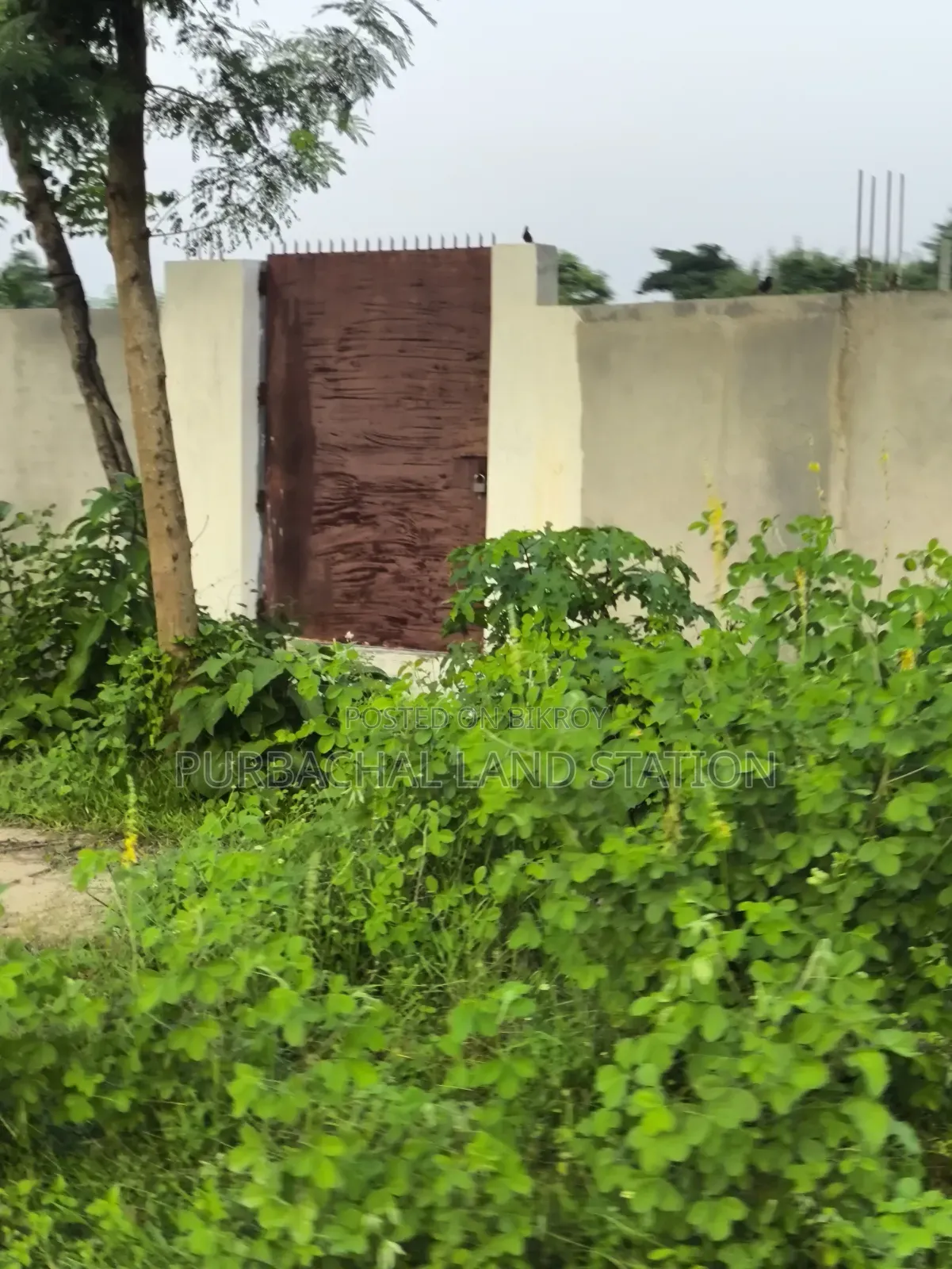 Sector: 24, South-East Corner Prime Location 3 Katha Plot Sale in Purbachal in Purbachal