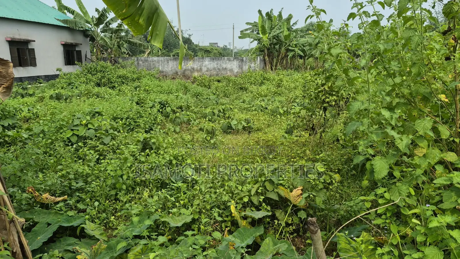 Sector 26 South Facing 3 Katha Plot Purbachal in Purbachal