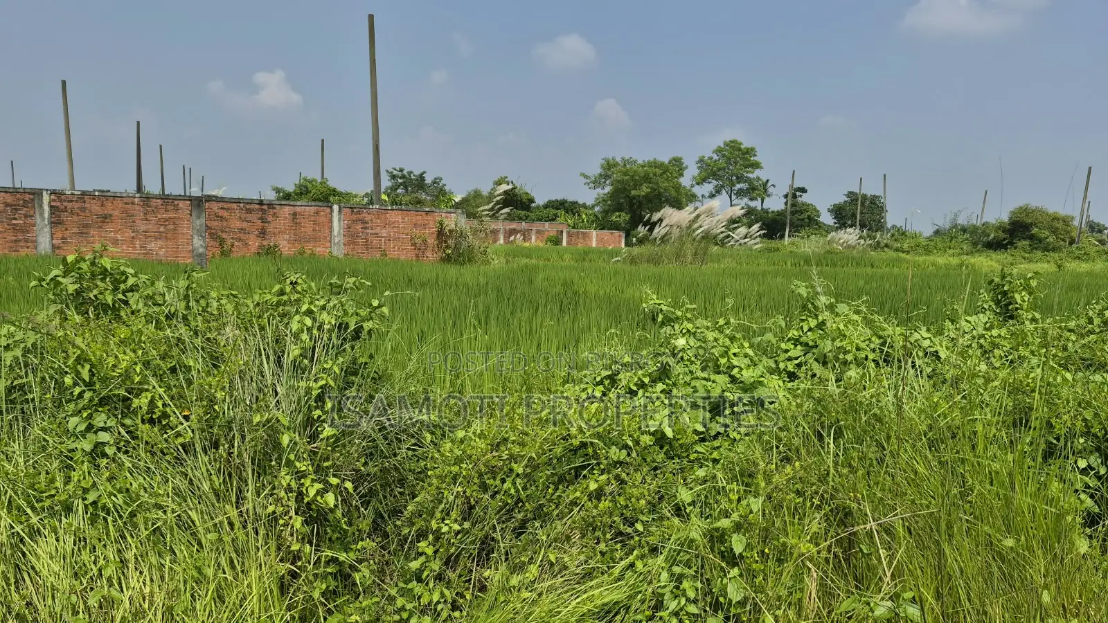 Low Budget South Facing 3 Katha Purbachal Sector 23 in Purbachal