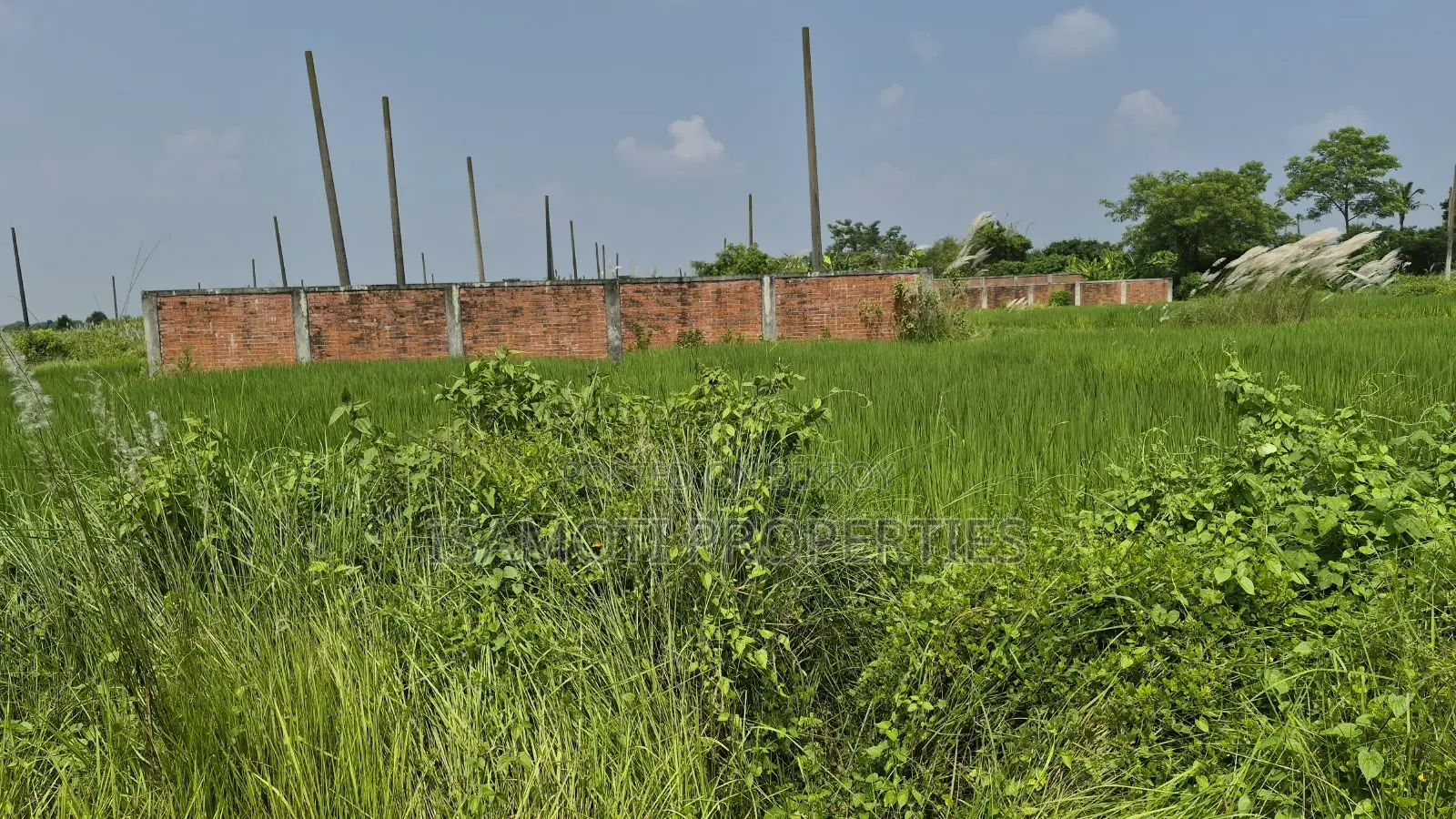 Low Budget South Facing 3 Katha Purbachal Sector 23 in Purbachal