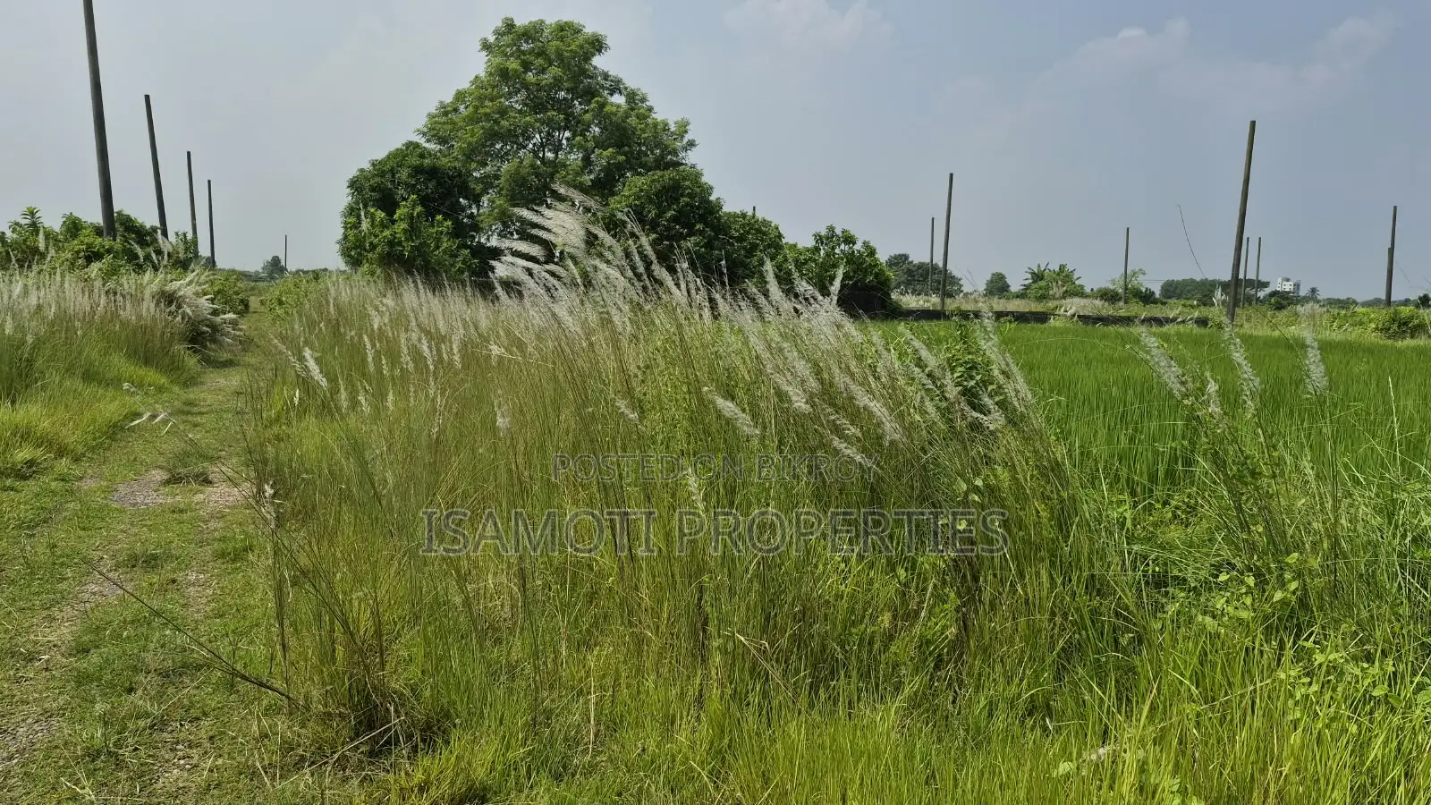 Low Budget South Facing 3 Katha Purbachal Sector 23 in Purbachal