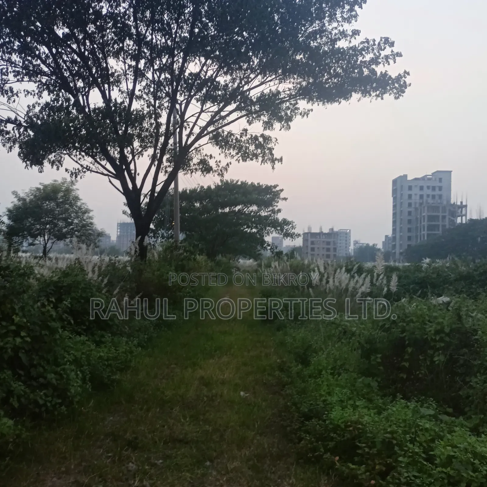 M_Block_5K_South_Plot_Sale_Bashundhara in Basundhara