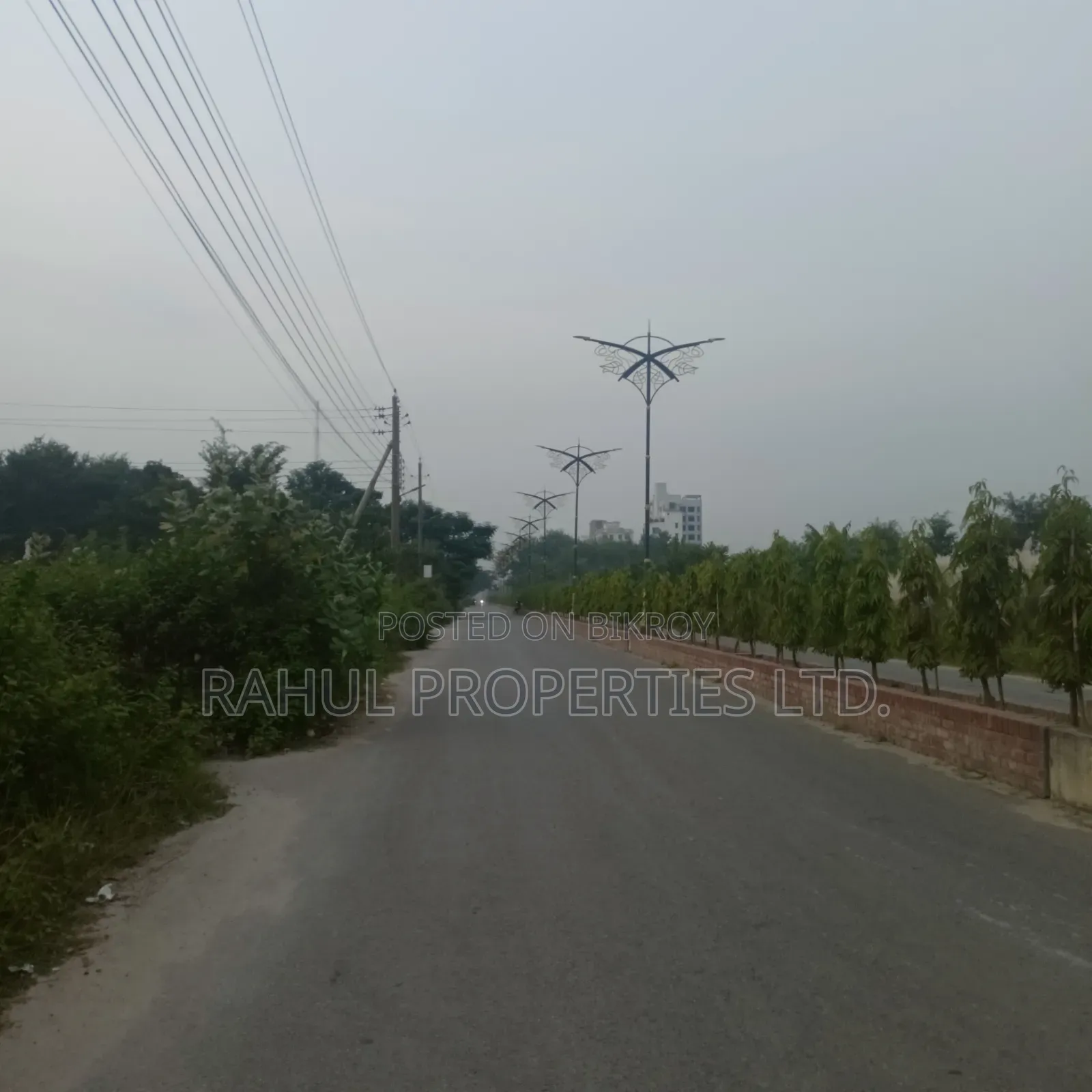 M_Block_5K_South_Plot_Sale_Bashundhara in Basundhara
