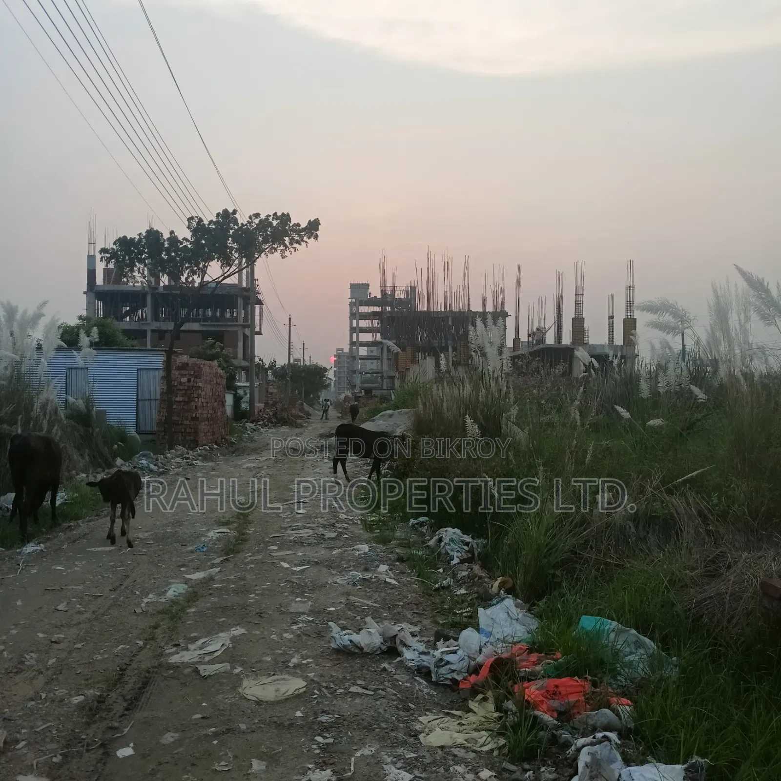 N Block 4K // South Face // Land Sale // Bashundhara R/A in Basundhara