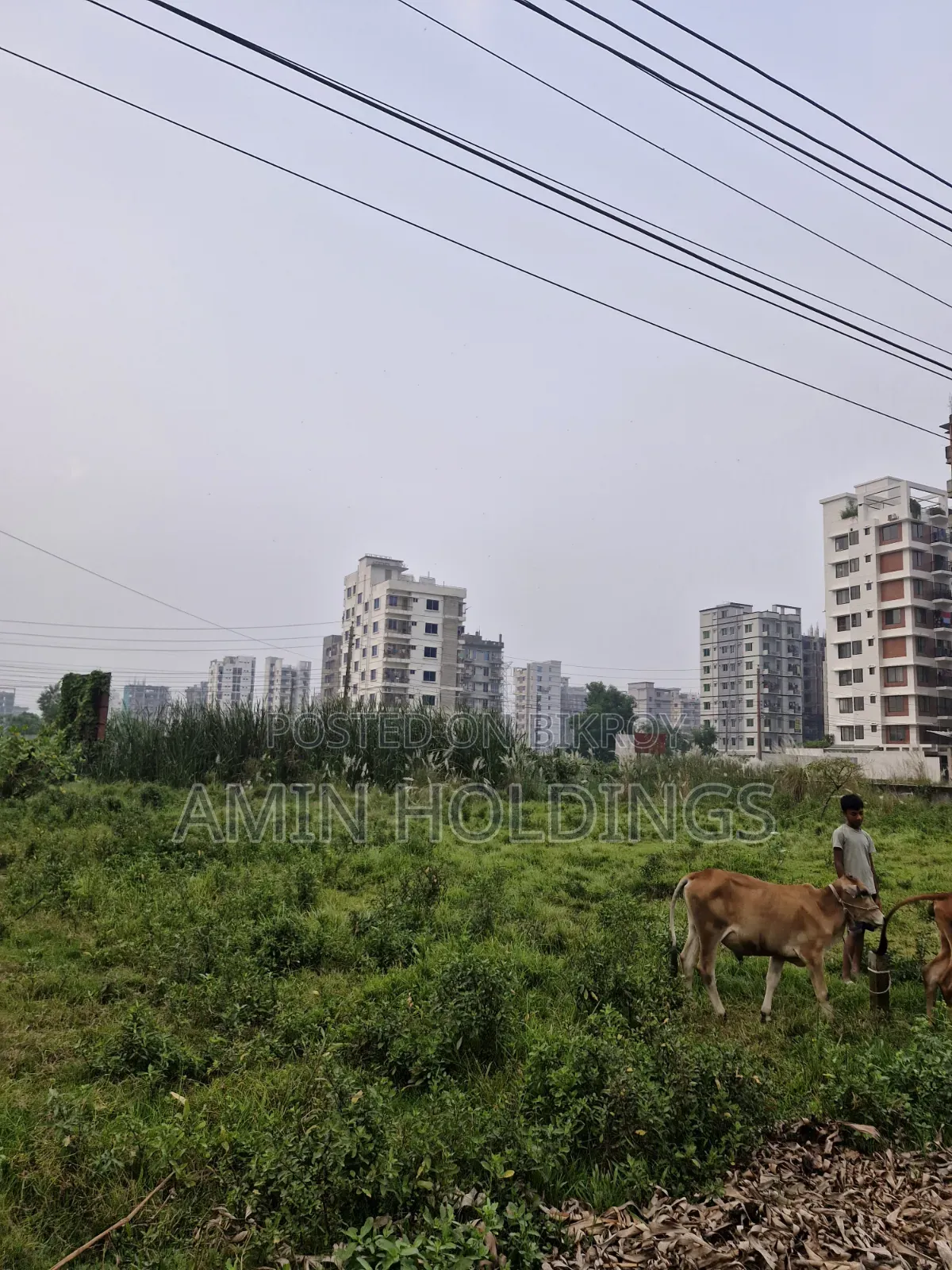 3.5 katha bounded plot for sale at Aftabnagar Block C Road 2 in Aftab Nagar