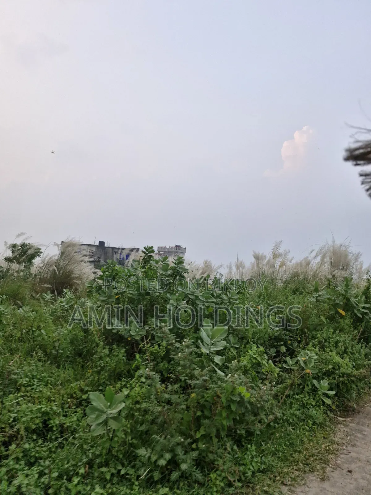 Aftabnagar Block F Sector 2 Road 3 South Facing 3 Katha Plot for Sale in Aftab Nagar
