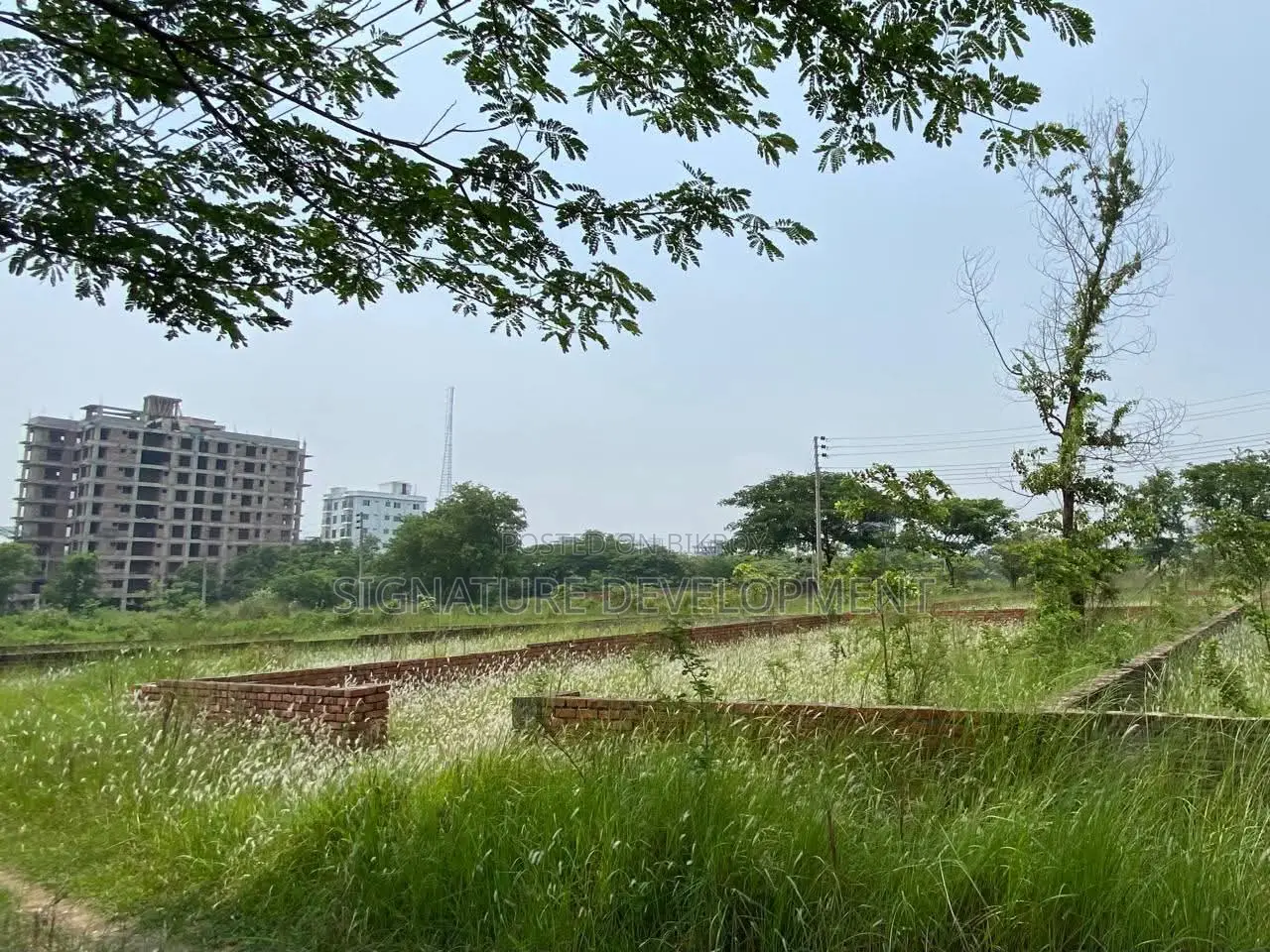 N-Block || 4-Katha || South-Facing || Plot For Sale || Bashundhara R/A in Basundhara