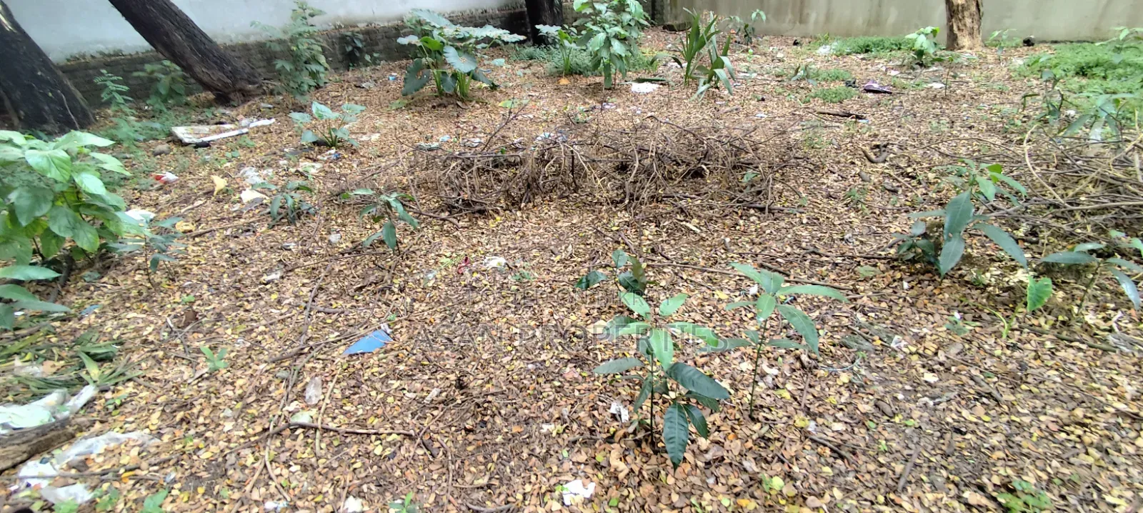 3 Katha Land for Sale at Nikunjo-1 in Khilkhet