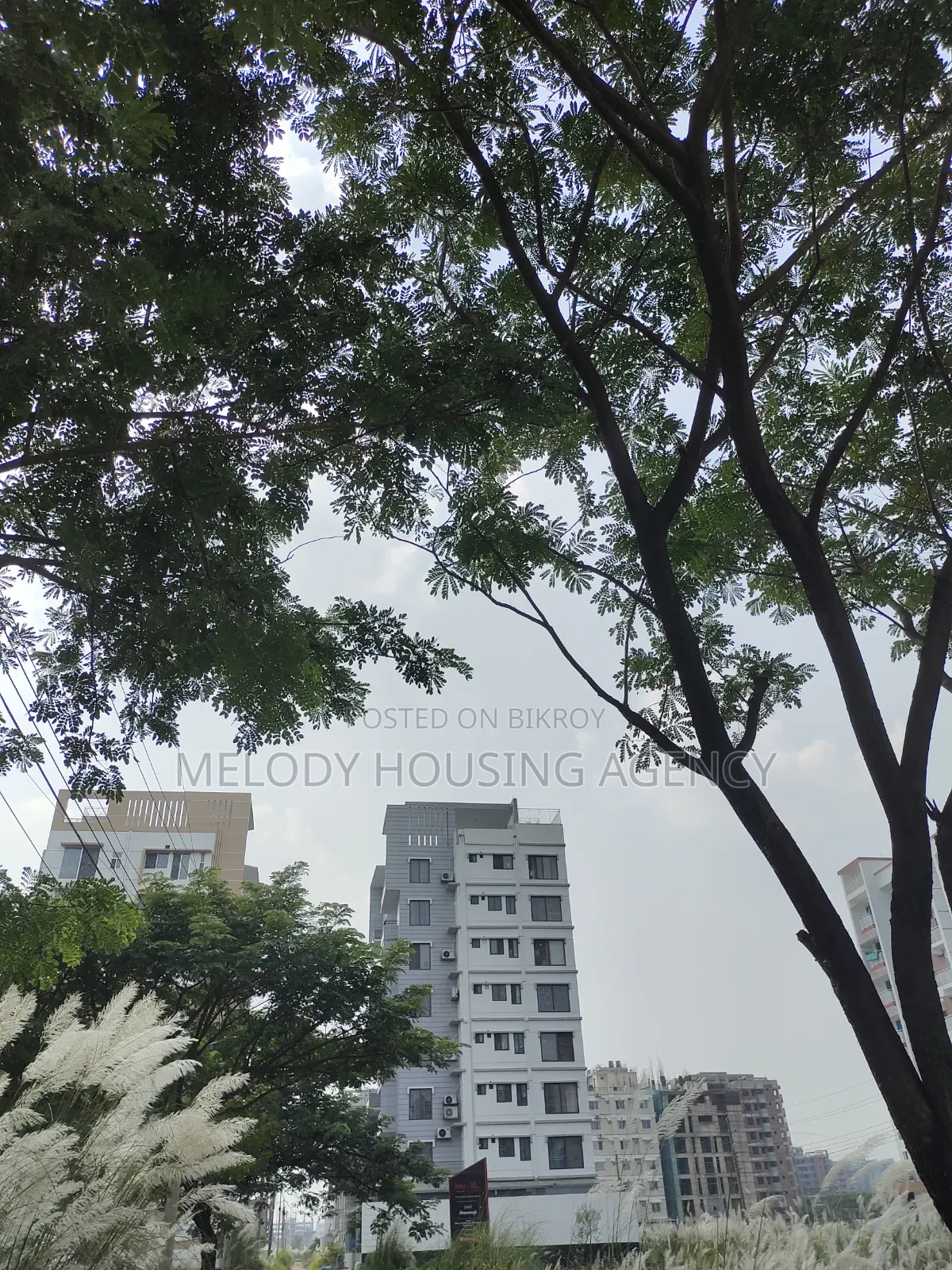 3-Bedroom Apartment in Bashundhara for Sale in Basundhara