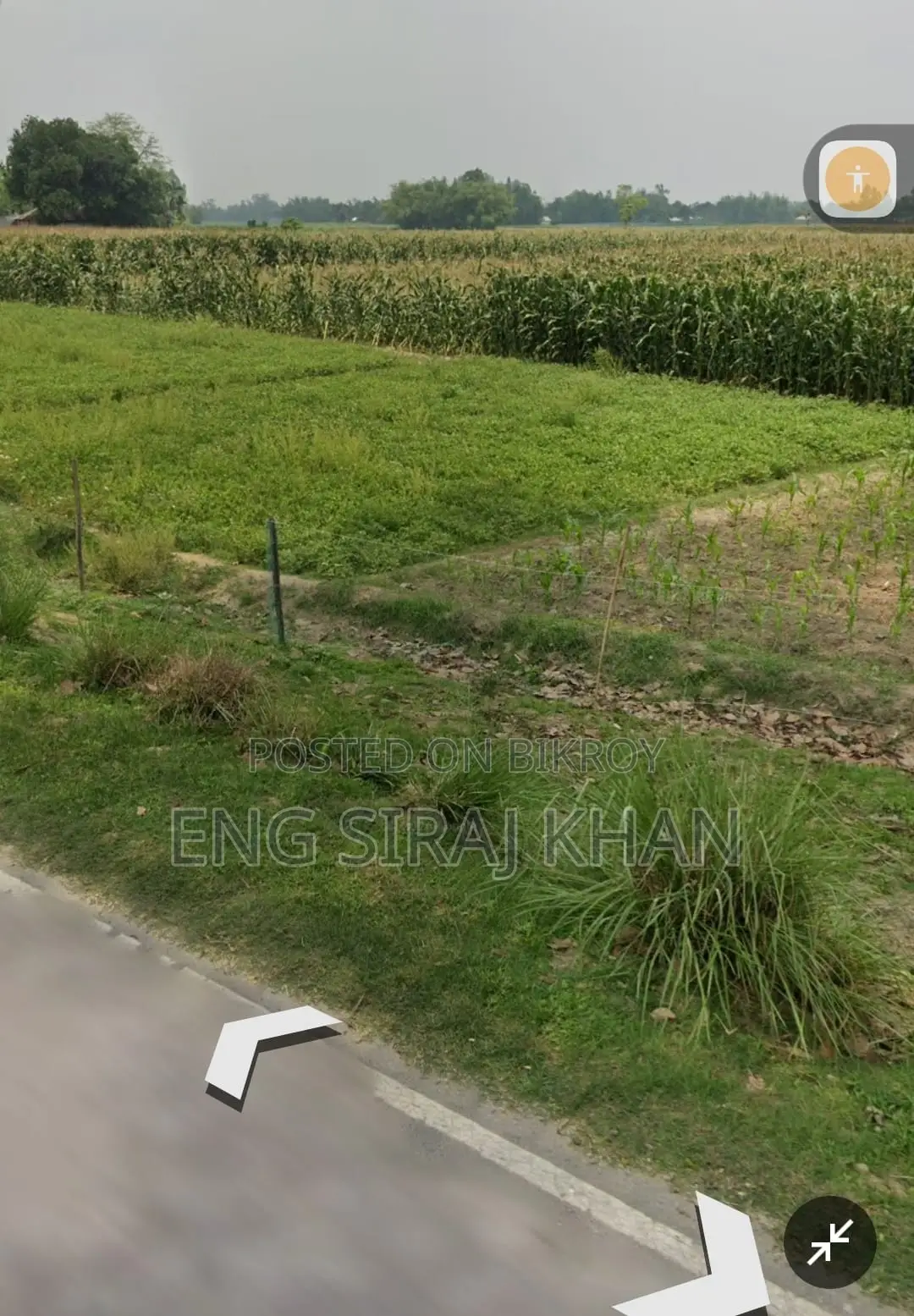 11.18 Acres Land for Sale in Thakurgaon in Thakurgaon Sadar