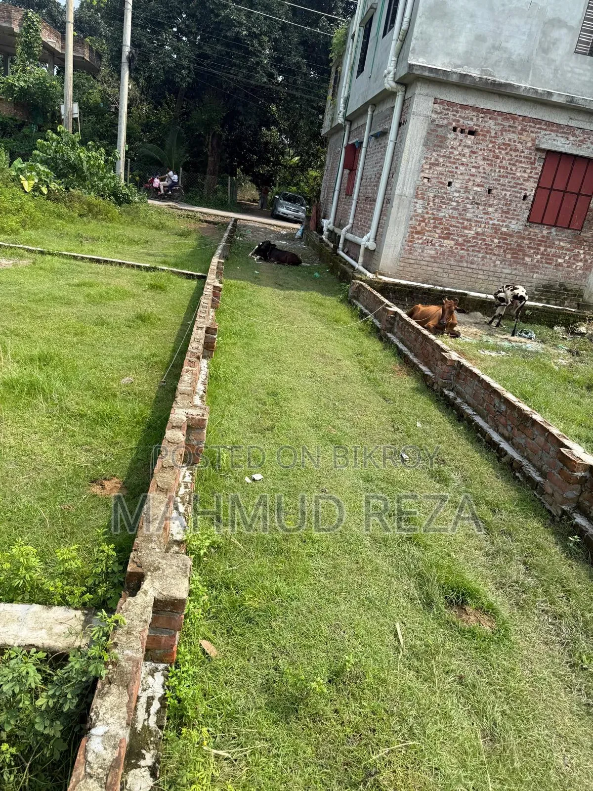 Land for sale near Palbari, Jashore at an affordable price on an urgent basis in Jashore Sadar
