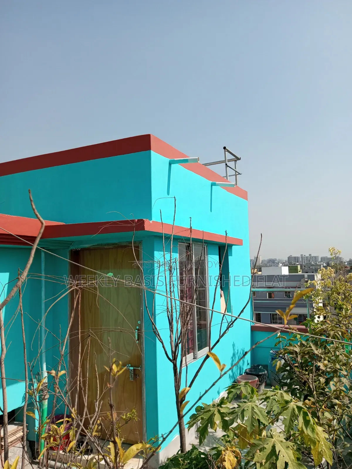 Studio Apartment for Bird Breeding, Mirpur for rent in Mirpur