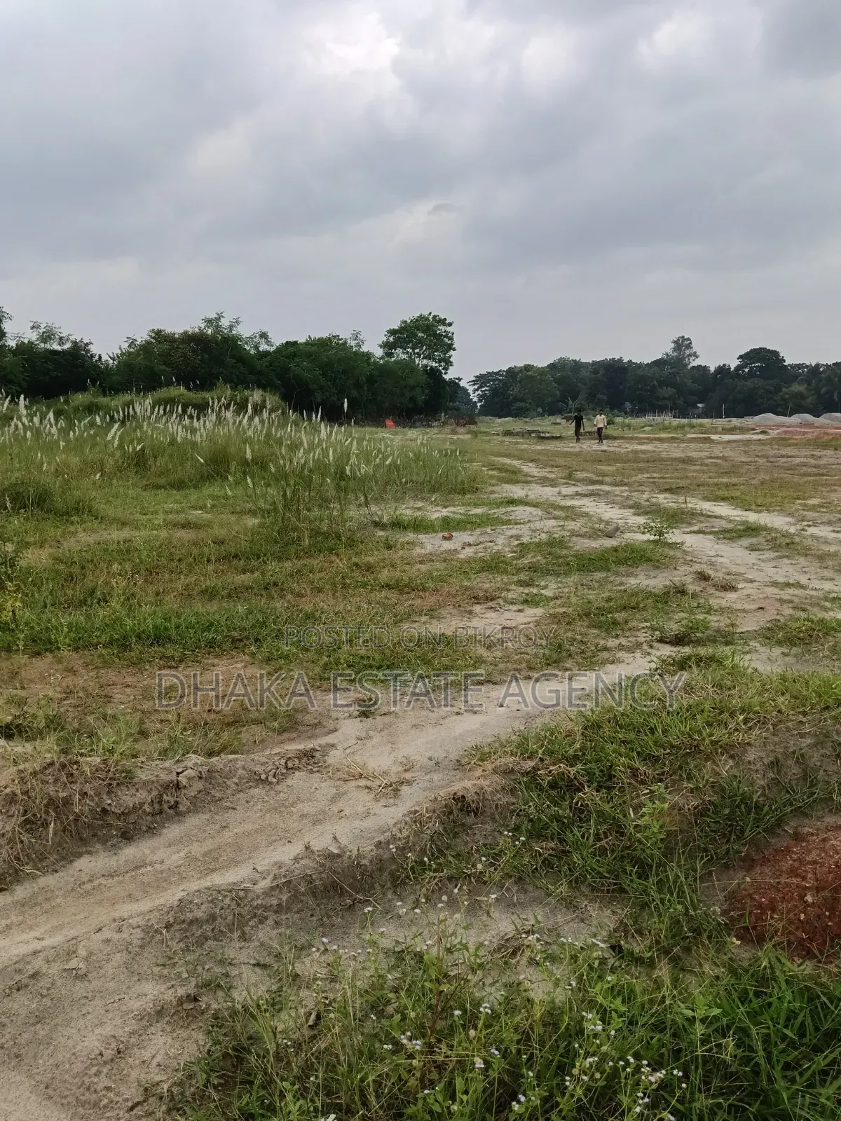 Block-N, 5 Katha South Facing Plot for Sale in Basundhara
