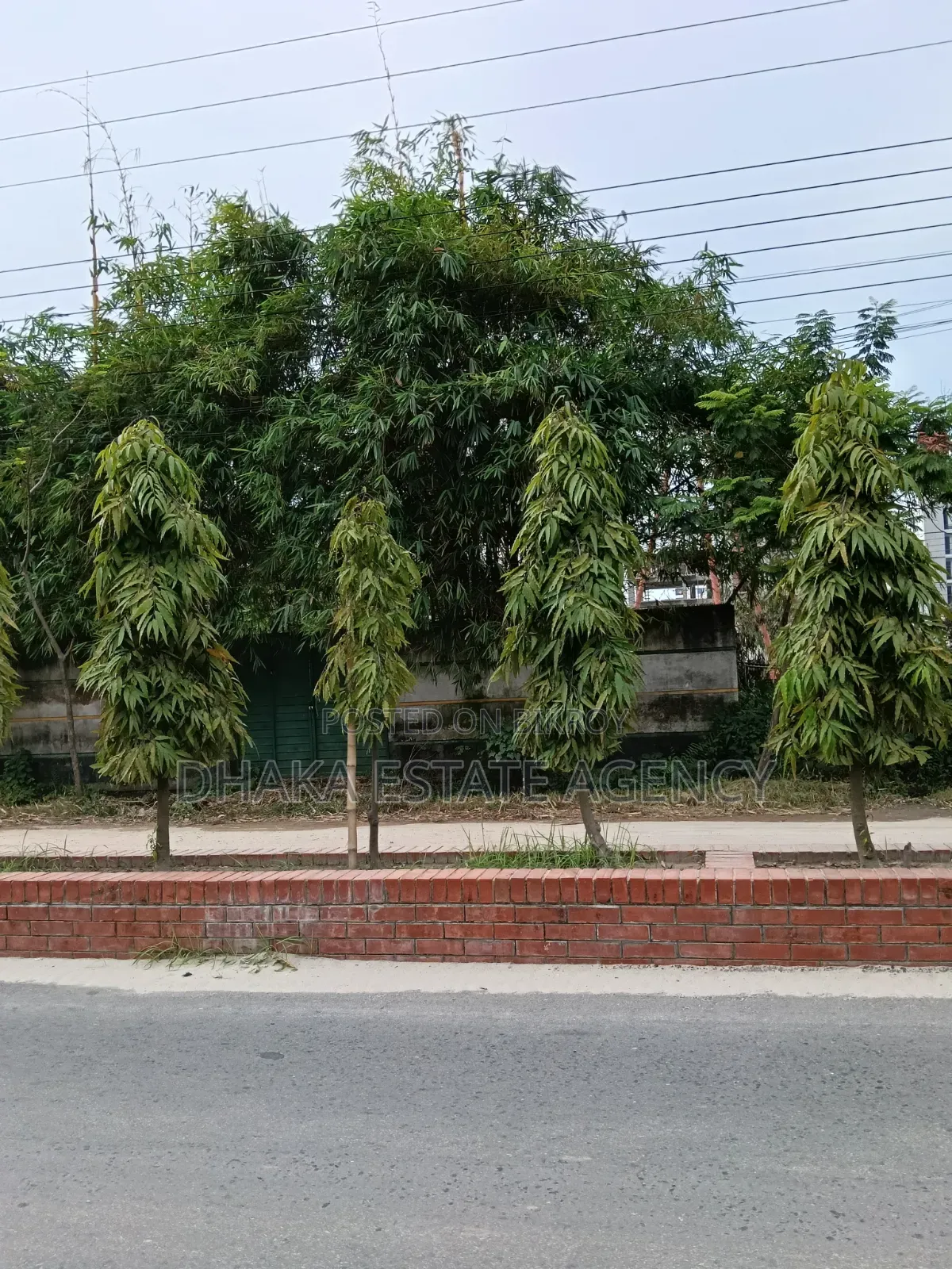 Block-M, South Face 3 Katha Plot Sale in Basundhara