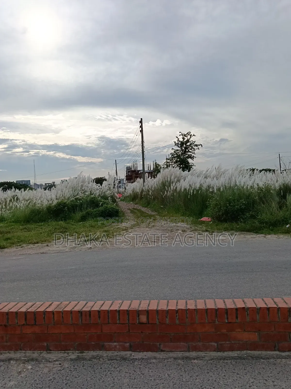 Block-L, South Facing 3 Katha Plot for Sale in Basundhara