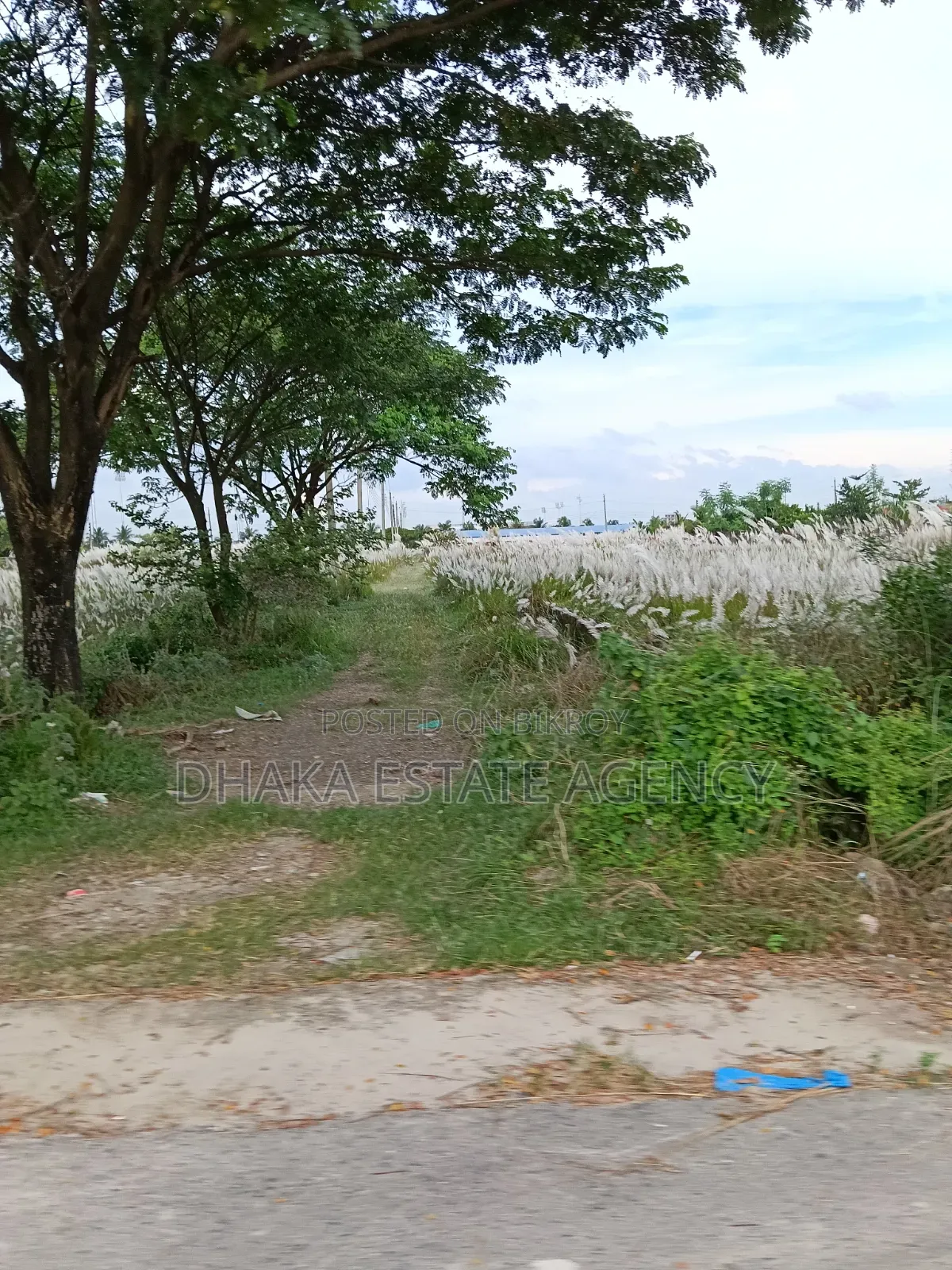 Block-L, South Facing 3 Katha Plot for Sale in Basundhara
