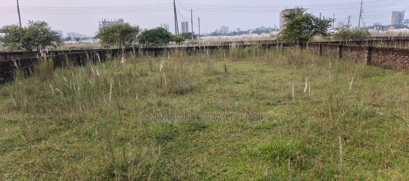 P Block, 5 Katha Plot for Sale Bashundhara, Baridhara. in Basundhara